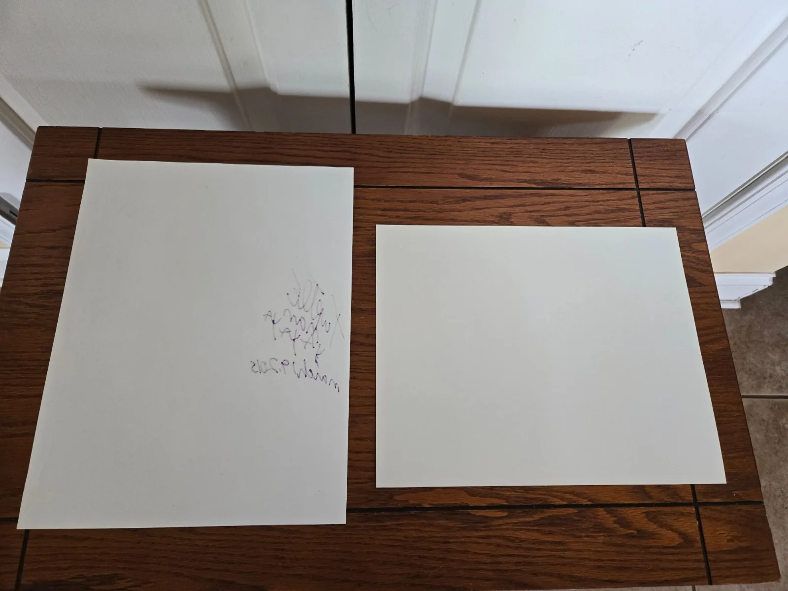 Turtle Man — Lot of 2 Signed Autographed Turtle Man TurtleMan Photos Pictures, изображение 4