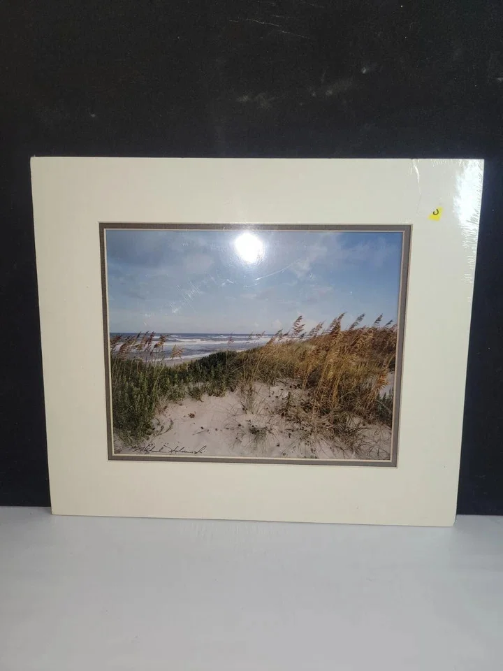 Michael Halminski Beach Photo 8x10 Signed, image 2