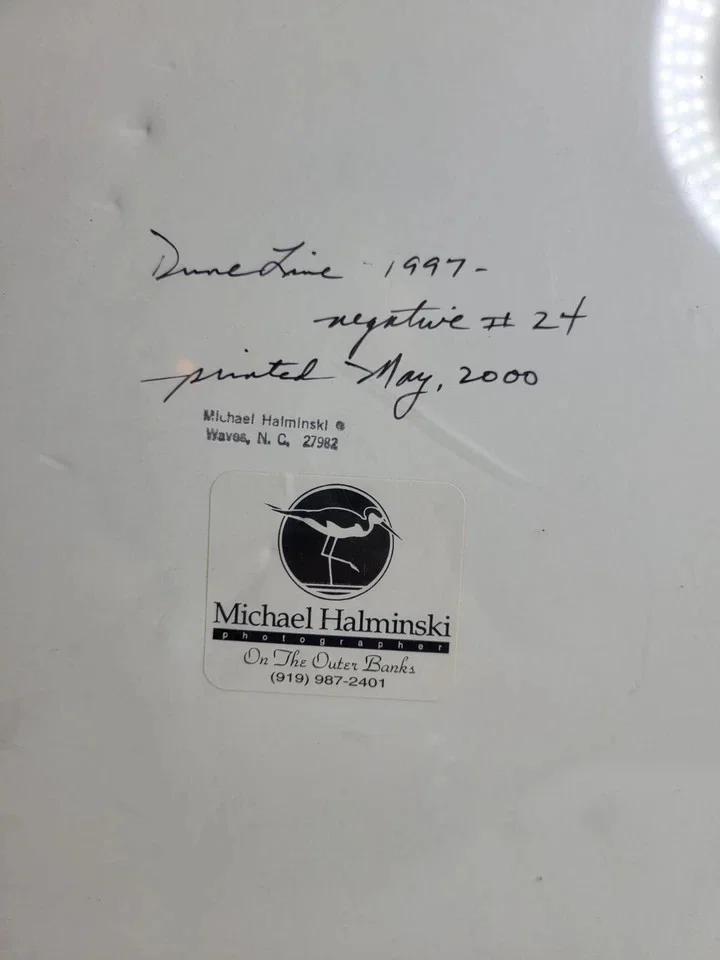 Michael Halminski Beach Photo 8x10 Signed, image 3