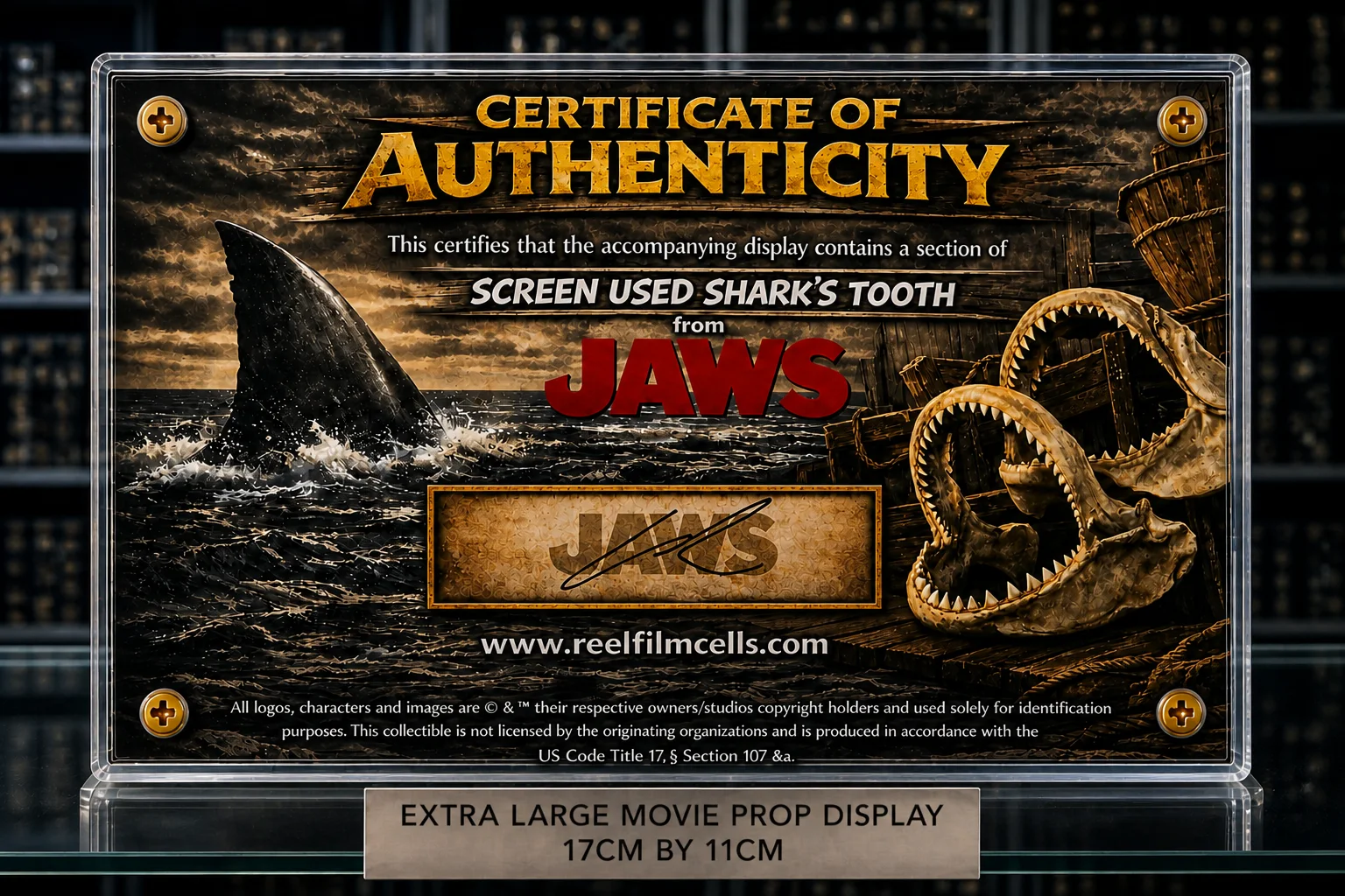 NEW XL Screen-Used Shark Tooth – Jaws Movie Prop Display – Authentic Film COA, image 2