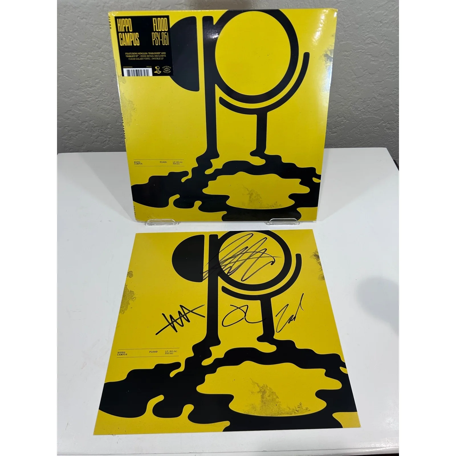 Hippo Campus Flood PSY-051 Indie Exclusive Clear Galaxy Vinyl Double LP Signed, изображение 2