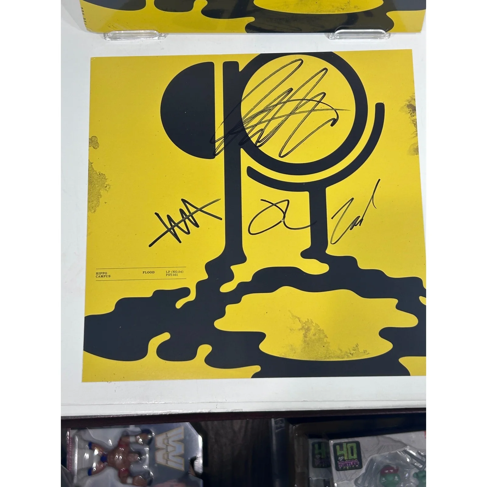Hippo Campus Flood PSY-051 Indie Exclusive Clear Galaxy Vinyl Double LP Signed, изображение 4