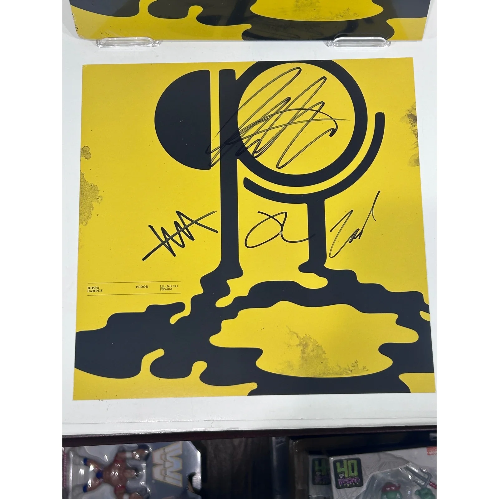 Hippo Campus Flood PSY-051 Indie Exclusive Clear Galaxy Vinyl Double LP Signed, изображение 5