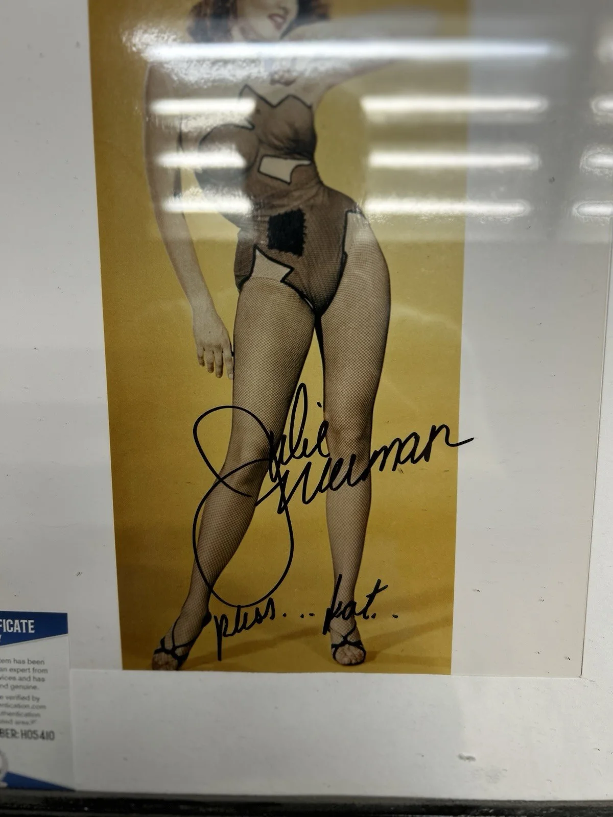 JULIE NEWMAR — JULIE NEWMAR VERY SEXY SIGNED 11x13 PHOTO "CATWOMAN," SIGNED PSS-KAT BECKETT COA, изображение 2