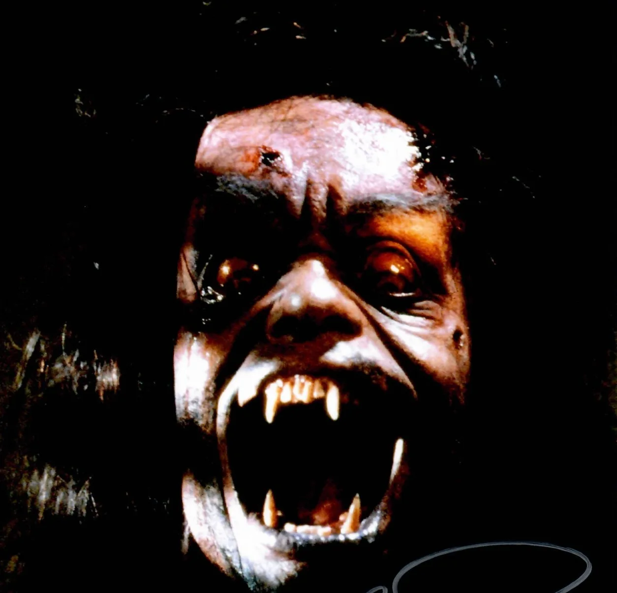 Brad Pitt — Robert Picardo The Howling Actor As Eddie Quist Signed 8 x 10 Photo TTM COA, image 3