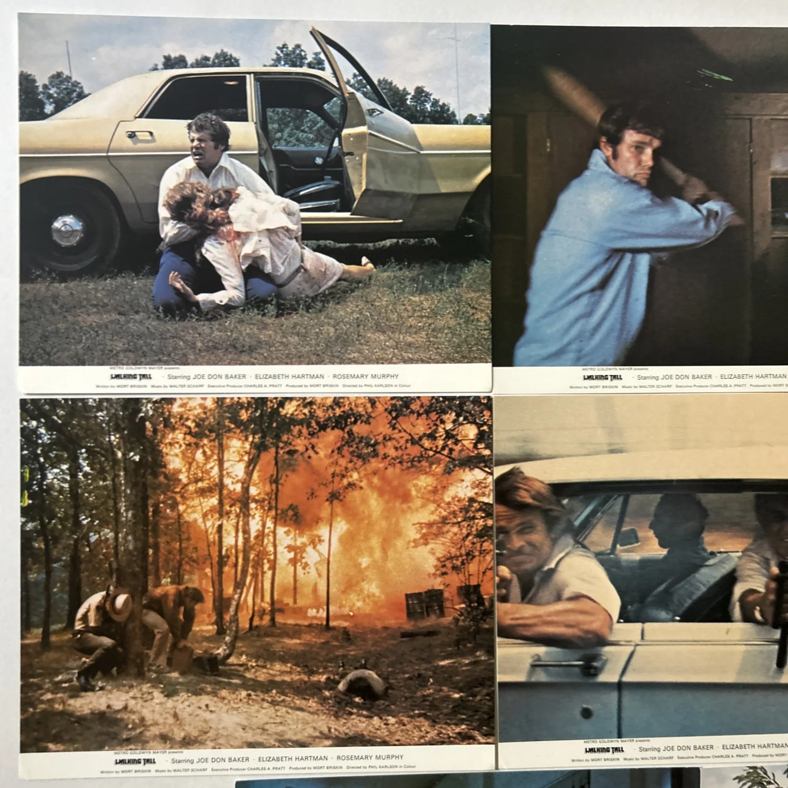 Lobby Card Set 10x8 - 1973 Walking Tall - Jon Bon Baker, Elizabeth Hartman, изображение 2