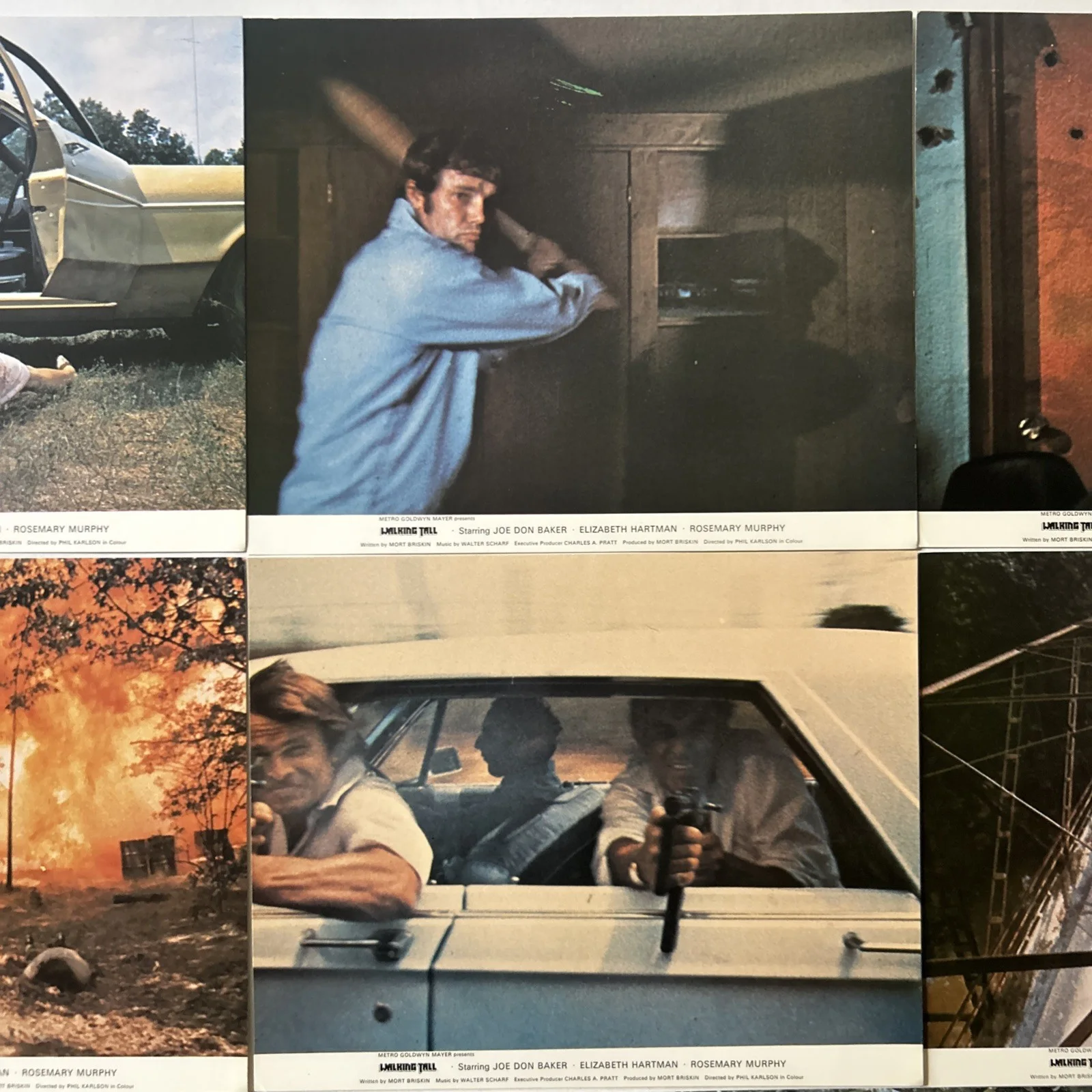 Lobby Card Set 10x8 - 1973 Walking Tall - Jon Bon Baker, Elizabeth Hartman, изображение 3