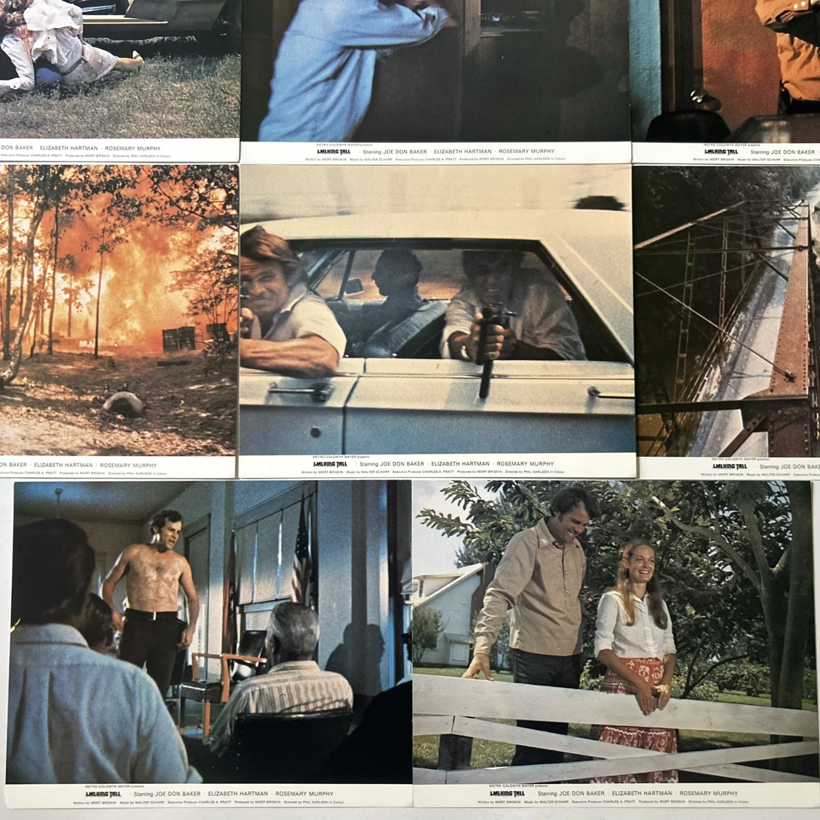 Lobby Card Set 10x8 - 1973 Walking Tall - Jon Bon Baker, Elizabeth Hartman, изображение 5