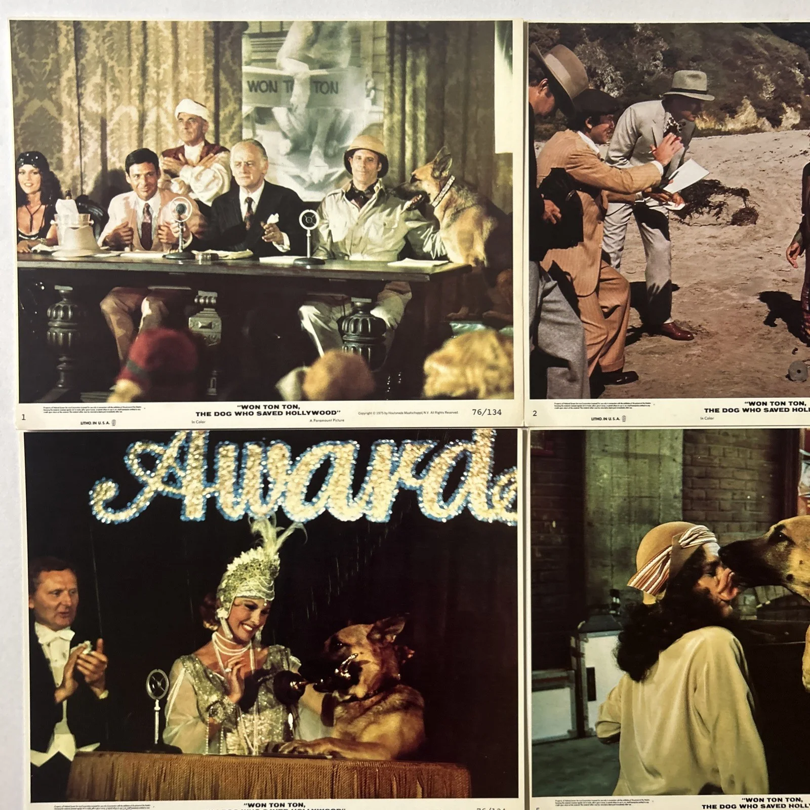 Lobby Card Set 10x8 - 1976 Won Ton Ton, The Dog Who Saved Hollywood - D. Morgan, изображение 2
