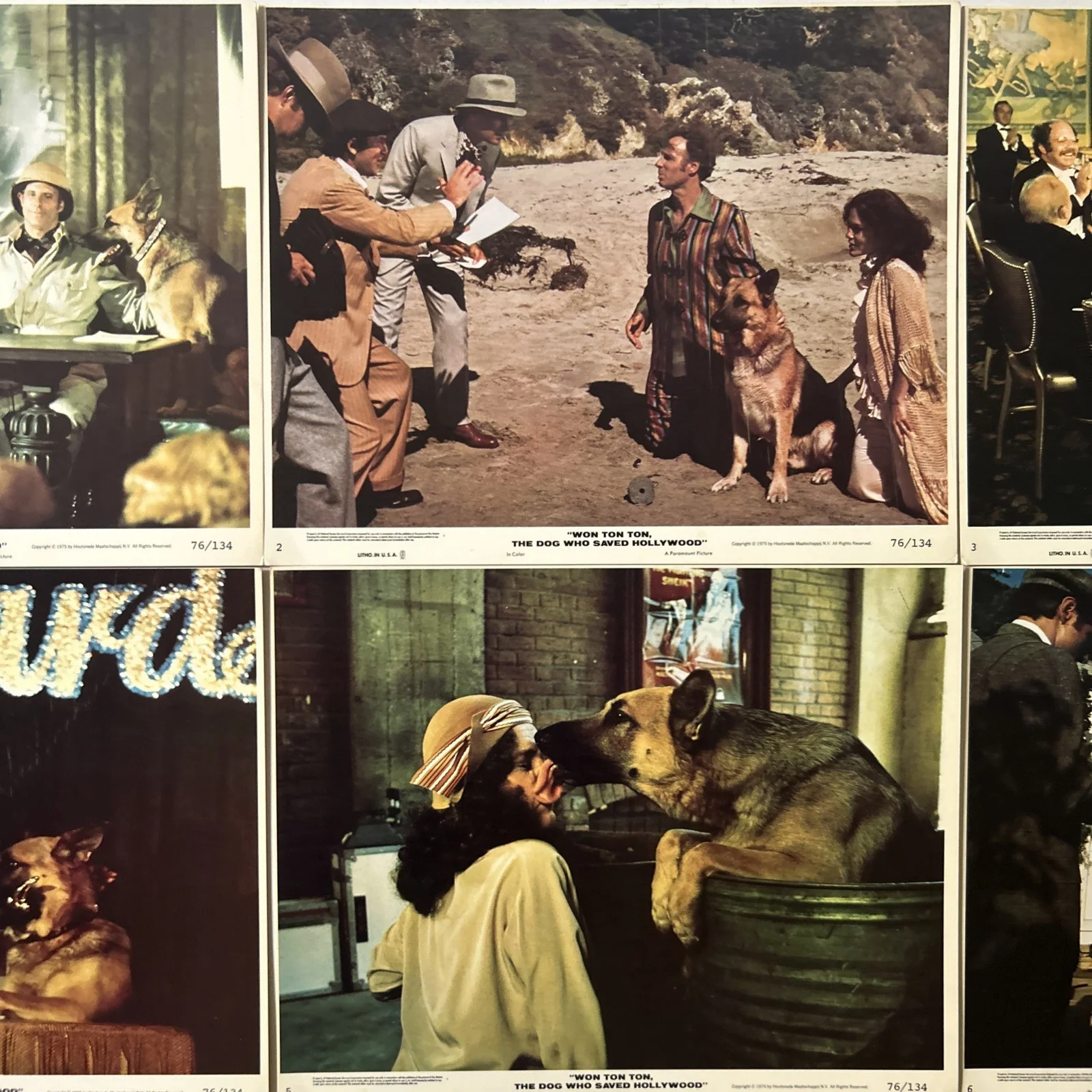 Lobby Card Set 10x8 - 1976 Won Ton Ton, The Dog Who Saved Hollywood - D. Morgan, изображение 3