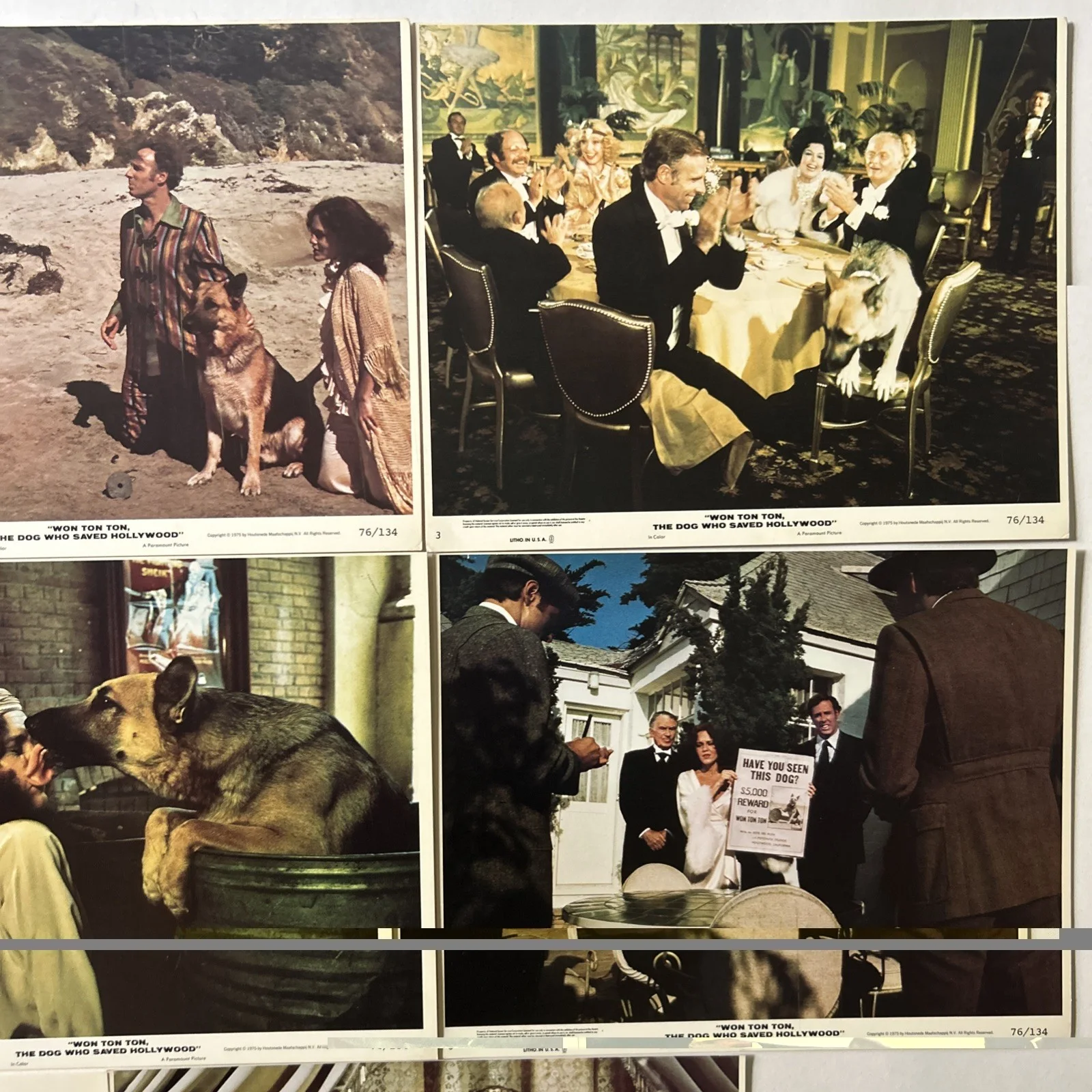 Lobby Card Set 10x8 - 1976 Won Ton Ton, The Dog Who Saved Hollywood - D. Morgan, изображение 4