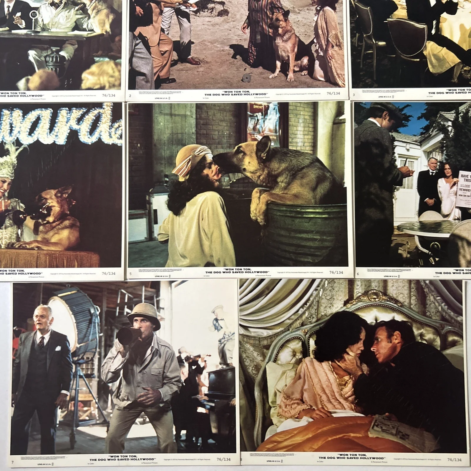 Lobby Card Set 10x8 - 1976 Won Ton Ton, The Dog Who Saved Hollywood - D. Morgan, изображение 5