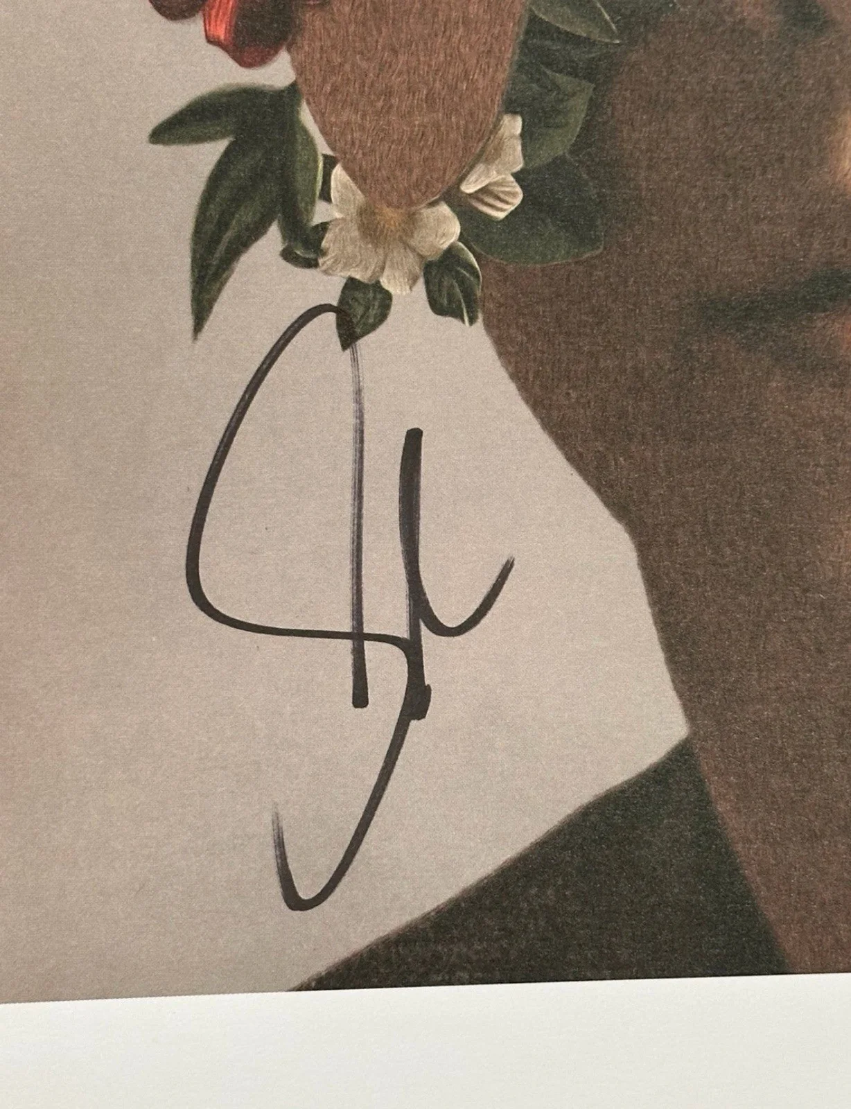 Shawn Mendes Signed Autographed Self Titled Album Cover 12x12 Lithograph Poster, изображение 3