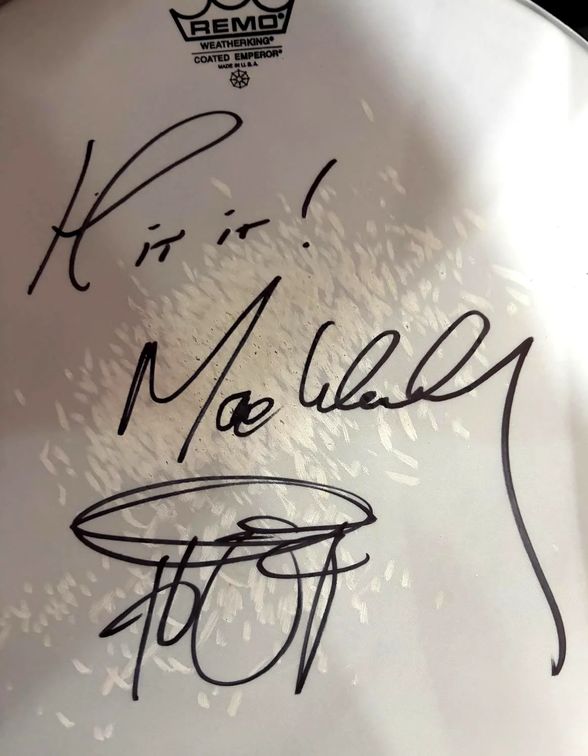 MAX WEINBERG SIGNED E STREET BAND 2024 TOUR STAGE USED DRUMHEAD SPRINGSTEEN COA, image 3