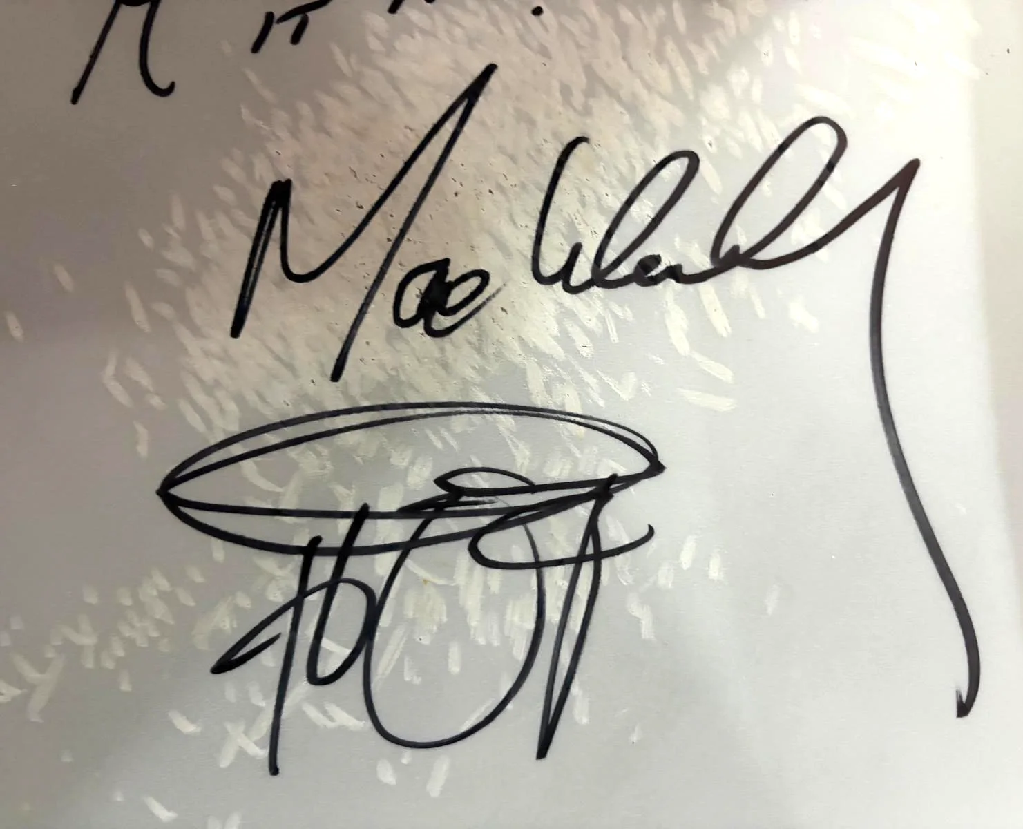 MAX WEINBERG SIGNED E STREET BAND 2024 TOUR STAGE USED DRUMHEAD SPRINGSTEEN COA, image 5