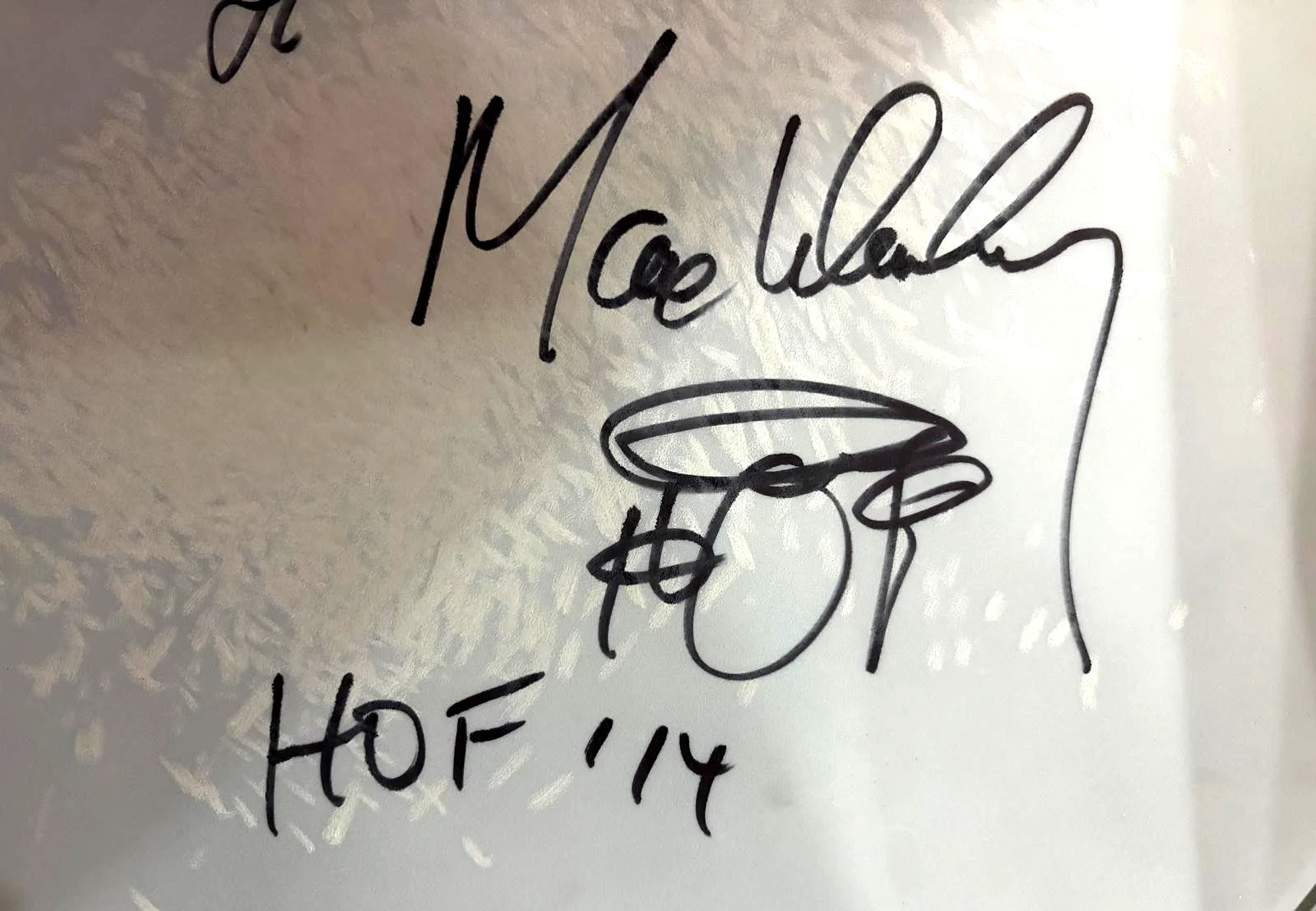 MAX WEINBERG SIGNED E STREET BAND 2024 TOUR STAGE USED DRUMHEAD SPRINGSTEEN COA, image 5