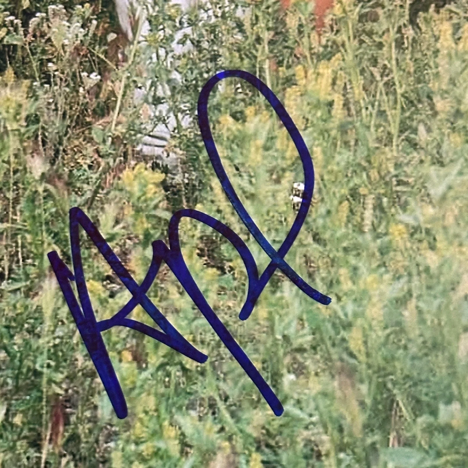 BLACK EYED PEAS Signed 11x14 PHOTO Beckett LOA - Complete w/ Fergie & will.i.am, изображение 4