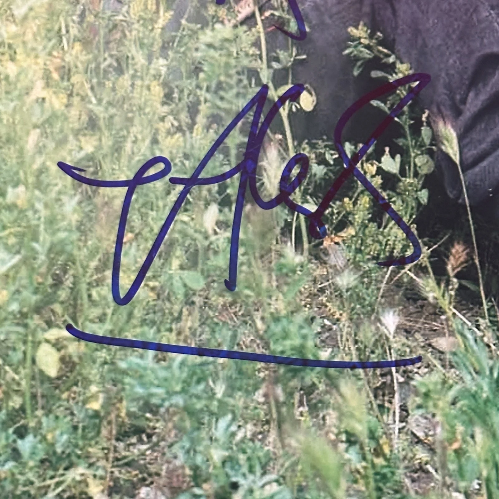 BLACK EYED PEAS Signed 11x14 PHOTO Beckett LOA - Complete w/ Fergie & will.i.am, изображение 5