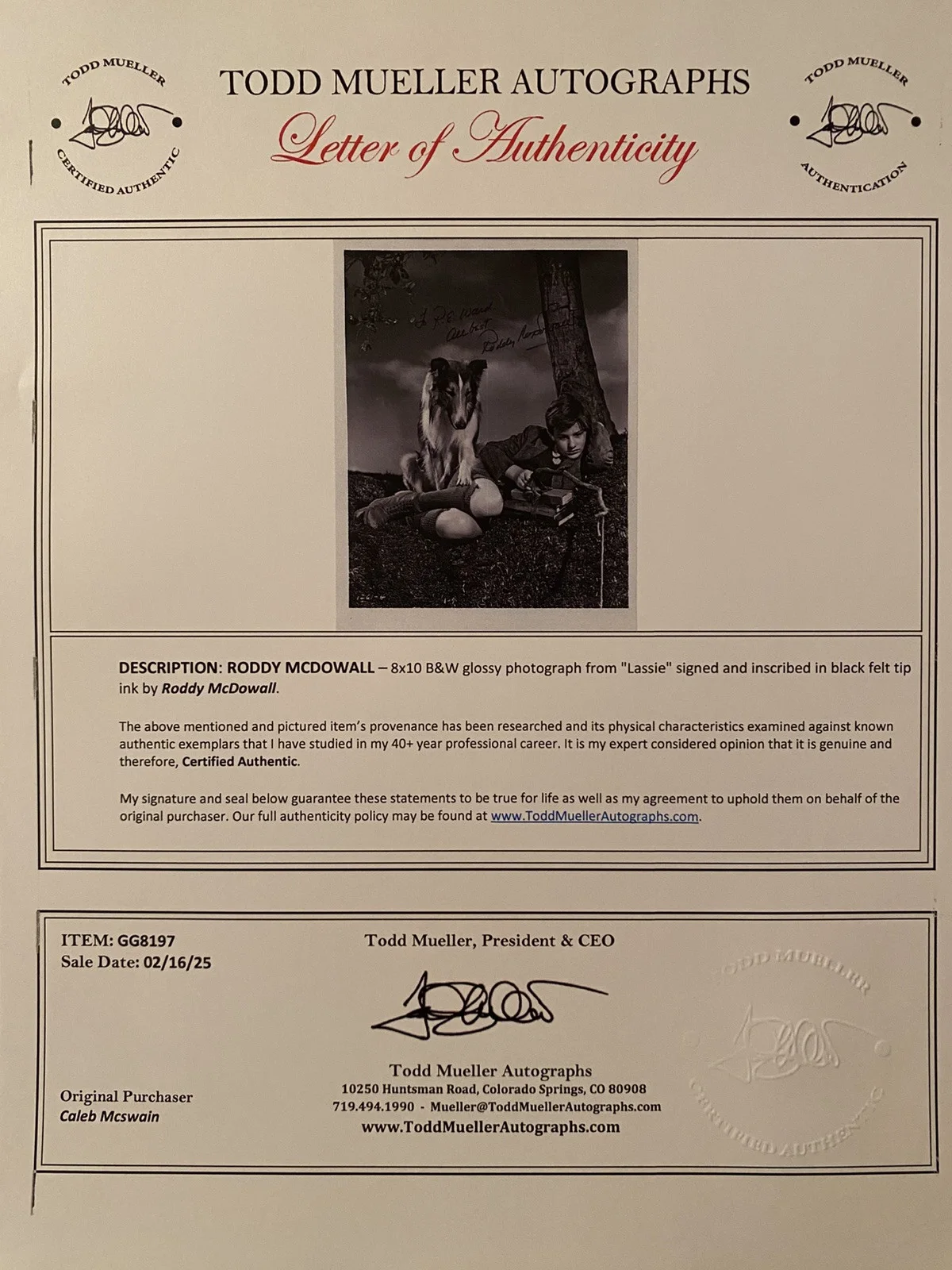 Roddy McDowall — Roddy McDowall Signed Autographed Vintage Photo With COA Lassie Come Home NICE, изображение 4