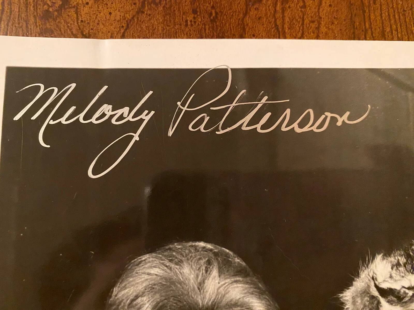 Melody Patterson, Joe Brooks, Paul Peterson — F Troop Cast Signed Photo With COA Melody Patterson Joe Brooks Paul Peterson, image 2