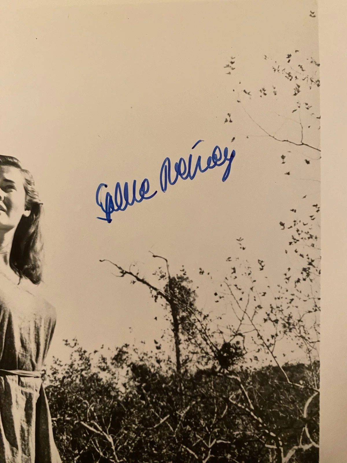 Gene Tierney — Gene Tierney Signed Autographed Photo With COA Laura Leave Her To Heaven, image 2