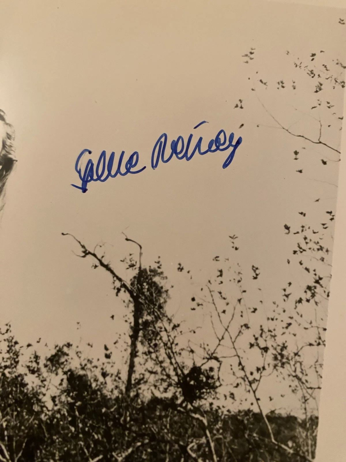 Gene Tierney — Gene Tierney Signed Autographed Photo With COA Laura Leave Her To Heaven, image 3
