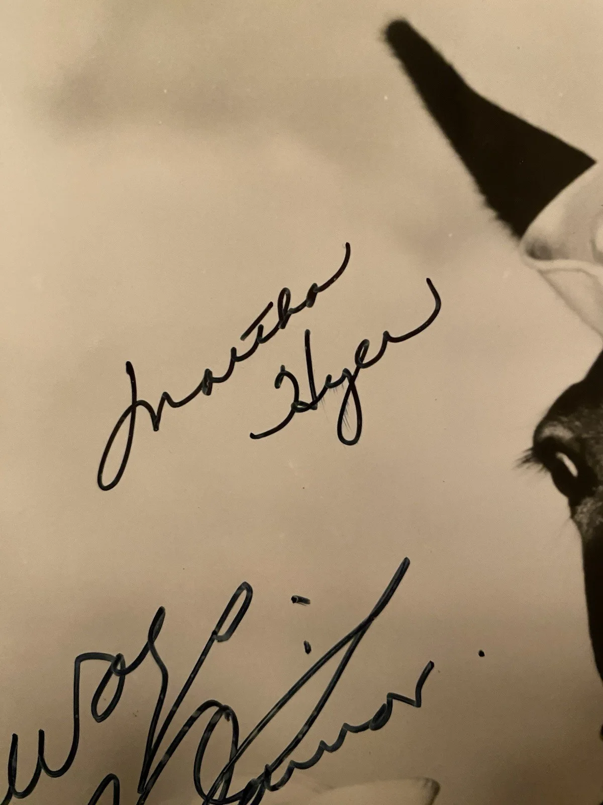 Donald O’Connor, Martha Hyer — Donald O’Connor Martha Hyer Signed Autographed Photo w/ COA Francis In The Navy, image 3
