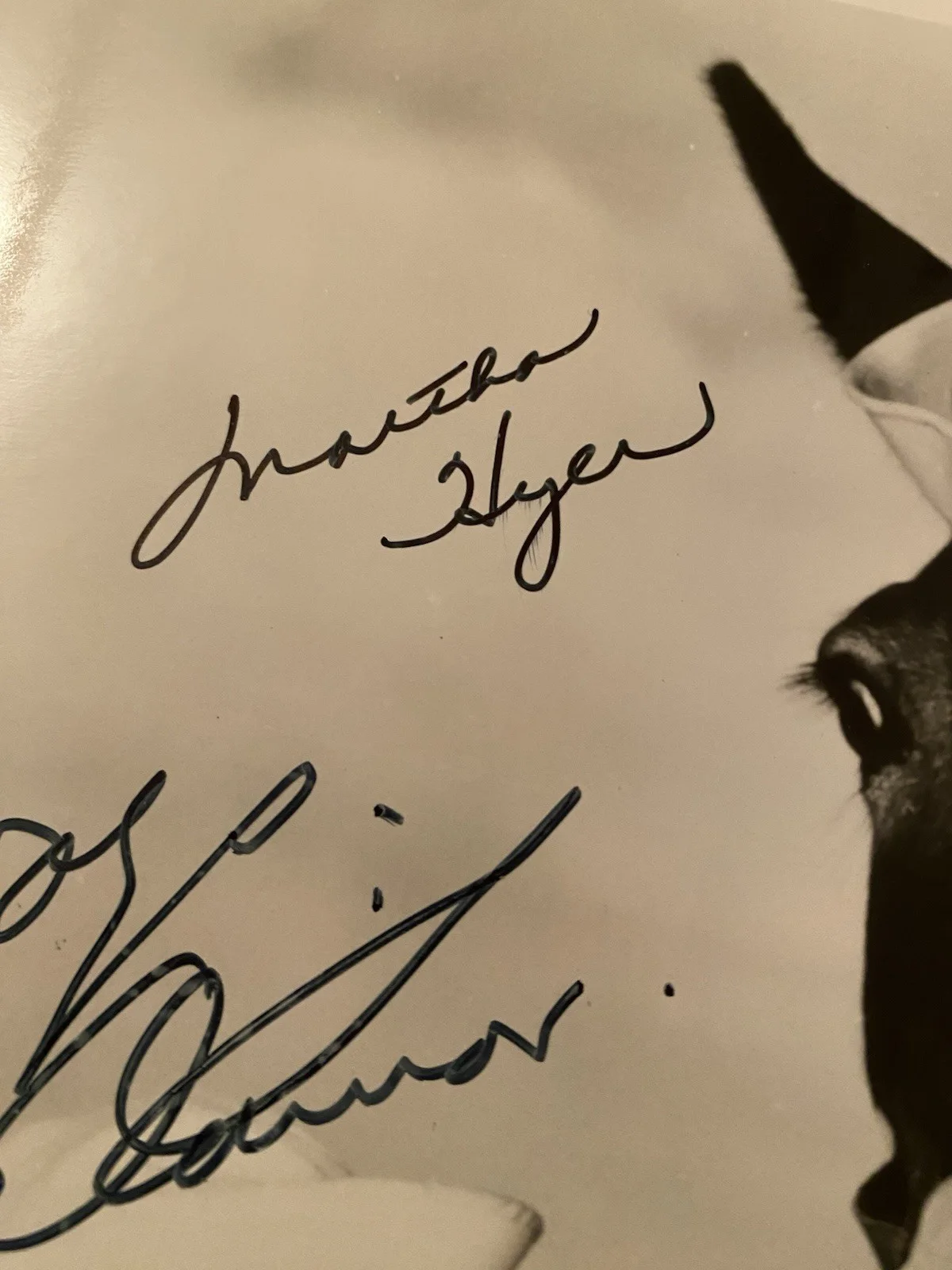 Donald O’Connor, Martha Hyer — Donald O’Connor Martha Hyer Signed Autographed Photo w/ COA Francis In The Navy, image 4