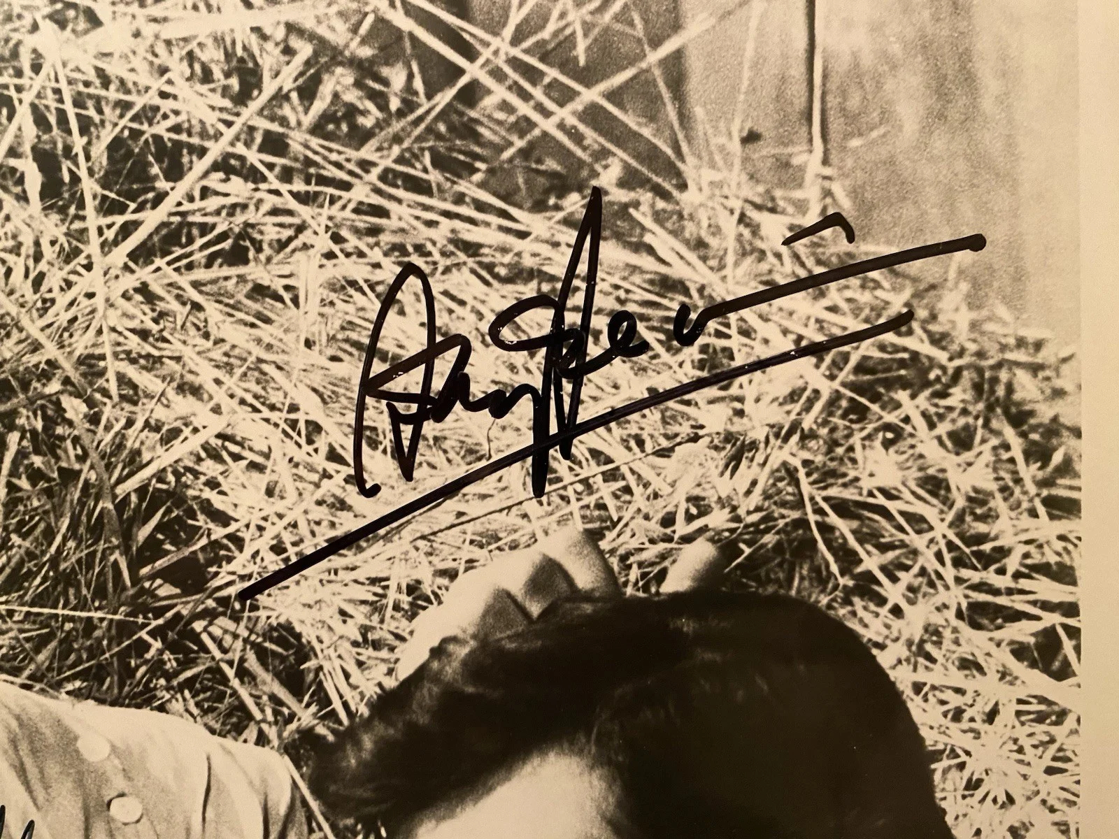 Anthony Perkins, Sophia Loren — Sophia Loren Anthony Perkins Signed Autographed Photo COA Desire Under The Elms, изображение 2