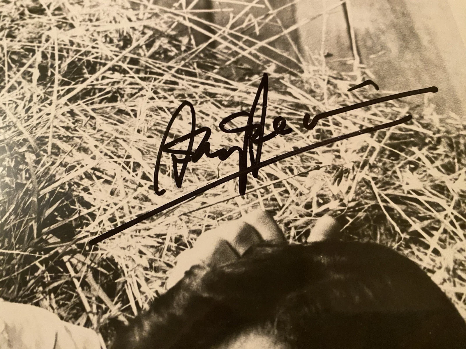 Anthony Perkins, Sophia Loren — Sophia Loren Anthony Perkins Signed Autographed Photo COA Desire Under The Elms, изображение 3