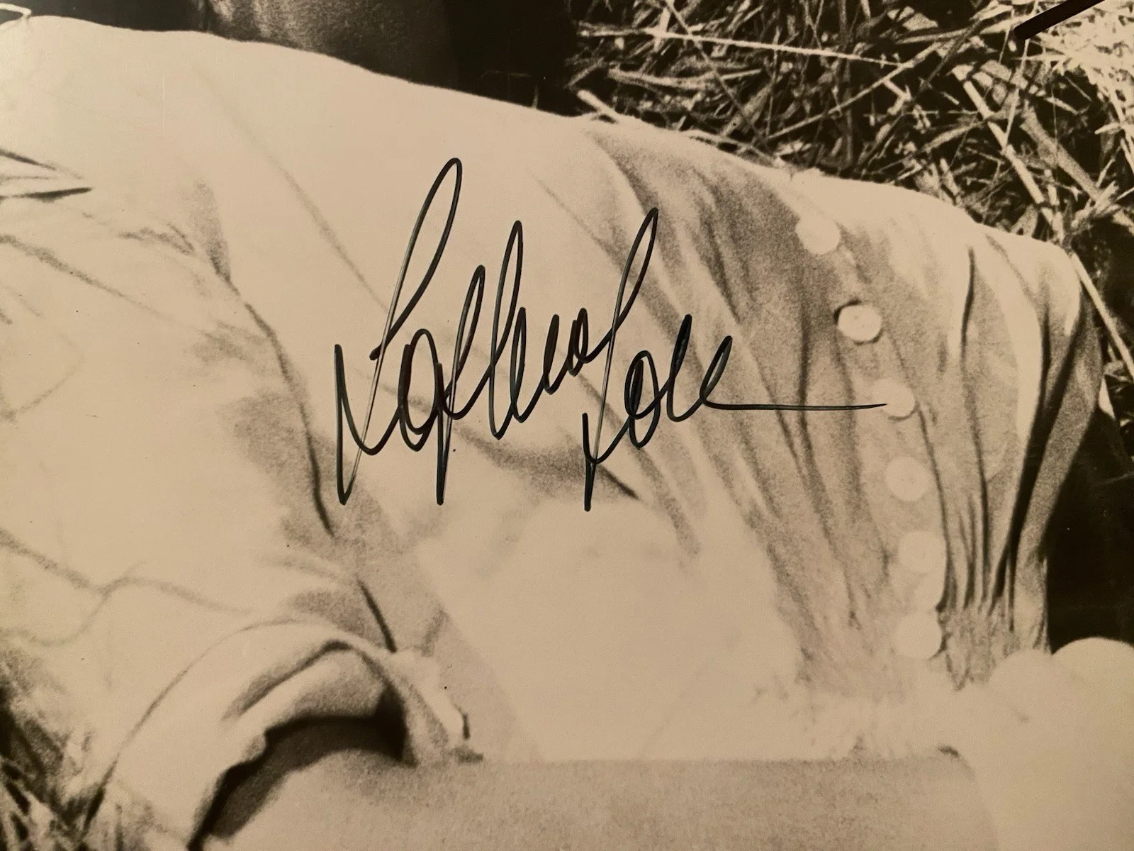 Anthony Perkins, Sophia Loren — Sophia Loren Anthony Perkins Signed Autographed Photo COA Desire Under The Elms, изображение 4