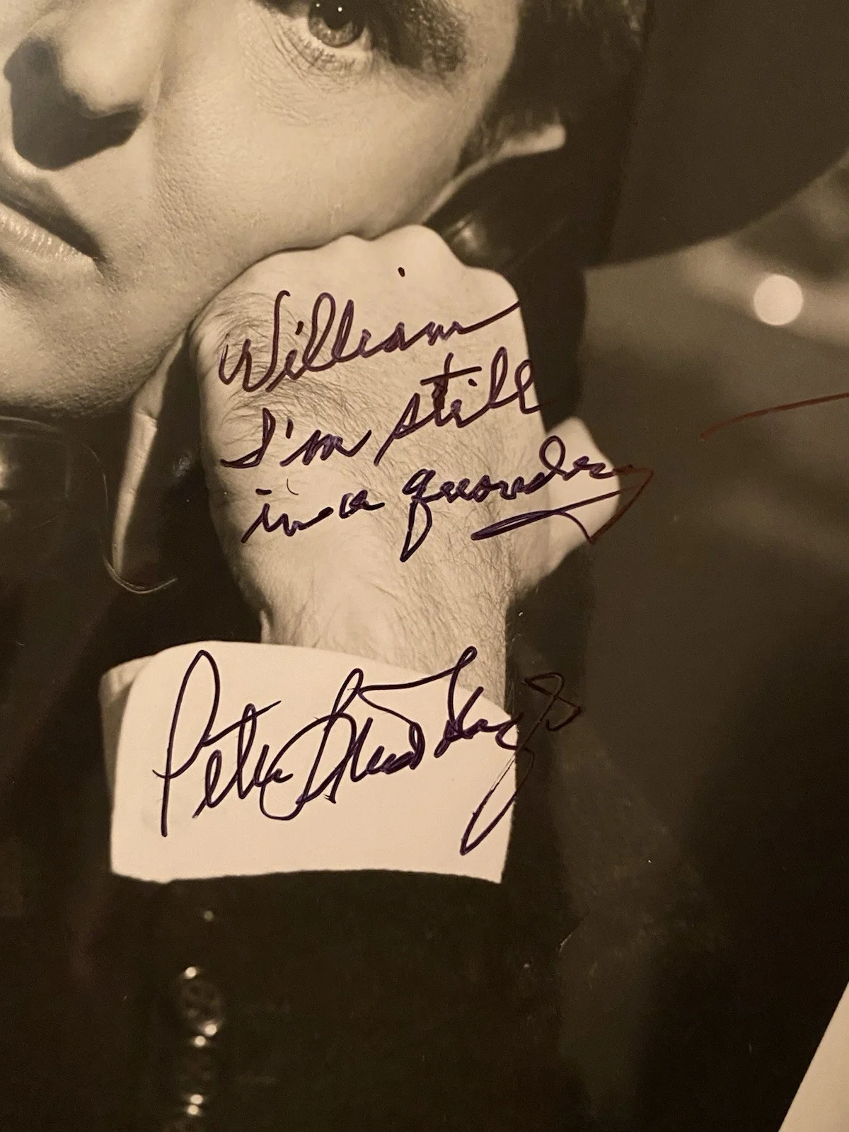 Peter Lind Hayes — Peter Lind Hayes Signed Autographed Photo With COA The Senator Was Indiscreet, изображение 2