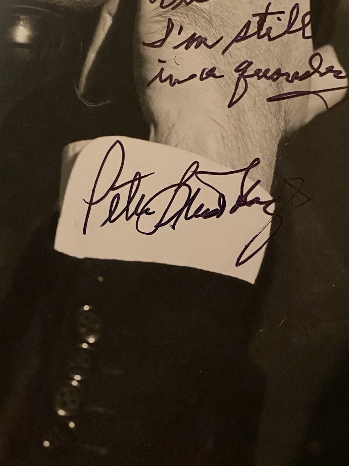 Peter Lind Hayes — Peter Lind Hayes Signed Autographed Photo With COA The Senator Was Indiscreet, изображение 3