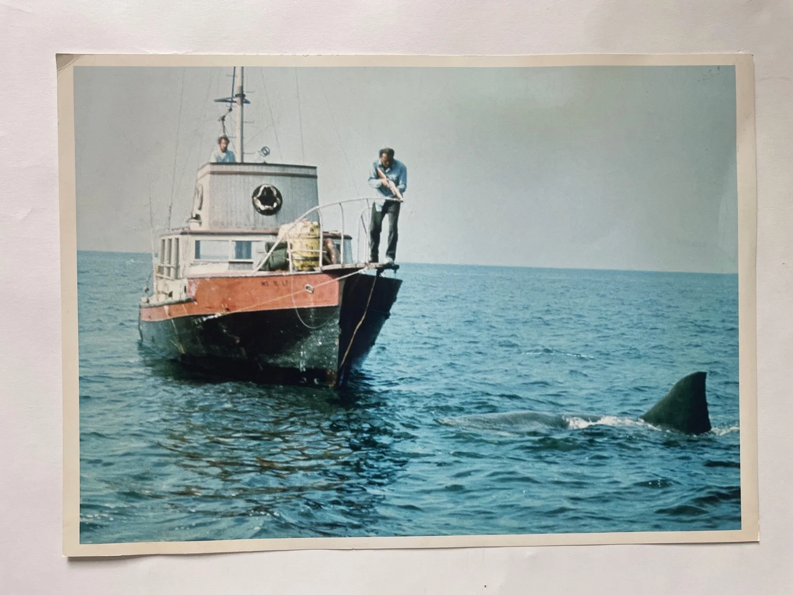 JAWS (1975) Set of 5 Publicity Stills VERY RARE, image 3