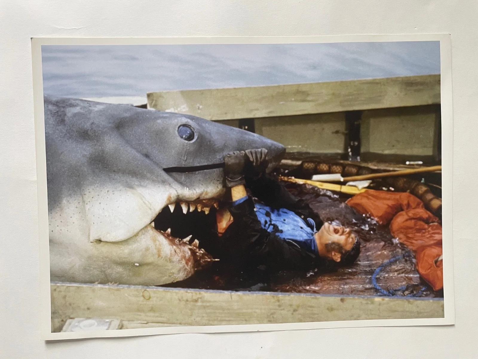 JAWS (1975) Set of 5 Publicity Stills VERY RARE, image 4