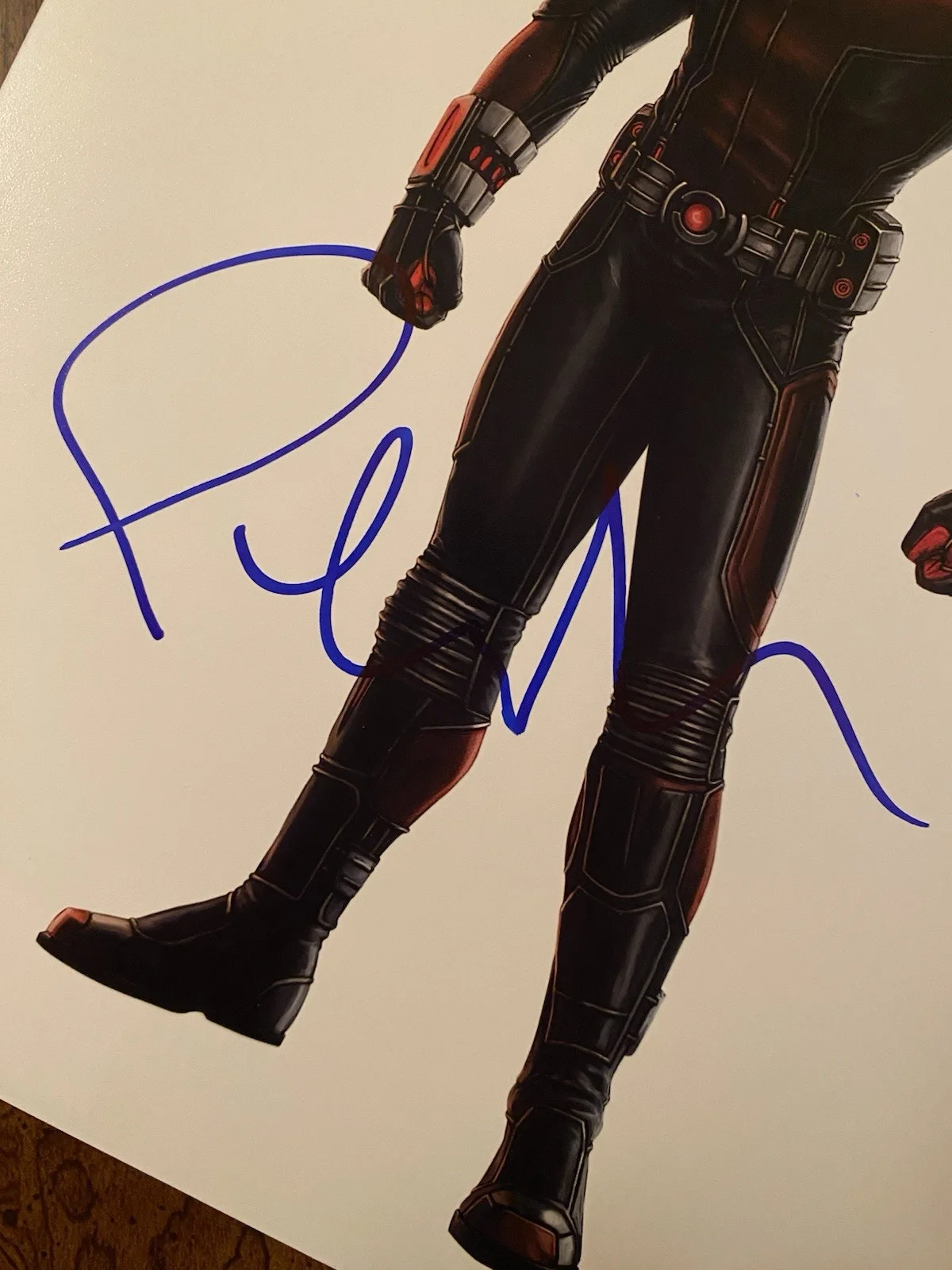 Paul Rudd — Paul Rudd Signed Autographed Photo With COA Antman And The Wasp Quantumania, изображение 2