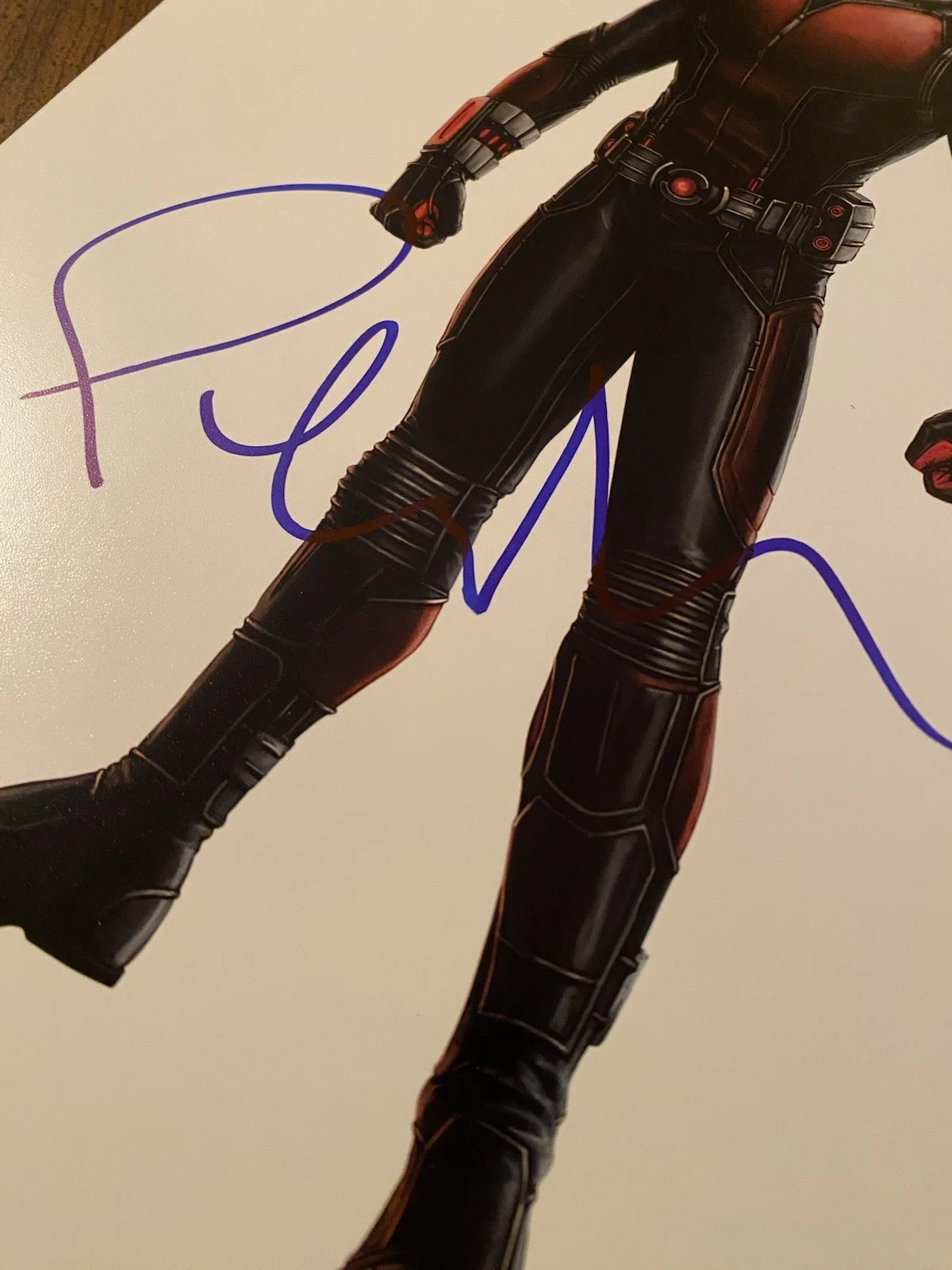 Paul Rudd — Paul Rudd Signed Autographed Photo With COA Antman And The Wasp Quantumania, изображение 3