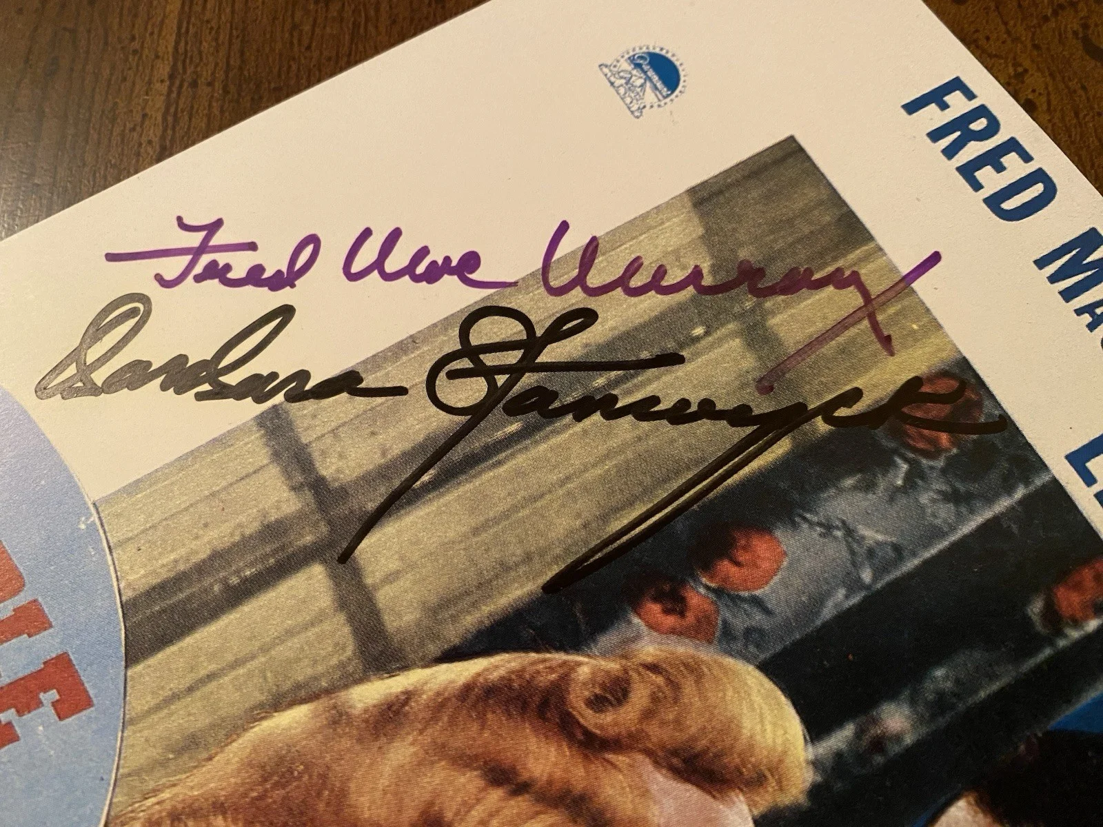 Barbara Stanwyck, Fred MacMurray — Barbara Stanwyck Fred MacMurray Signed Autographed Photo w/ COA Double Indemnity, изображение 3