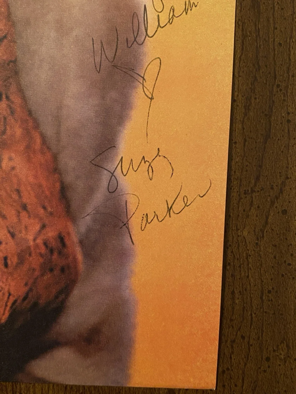 Suzy Parker — Suzy Parker Signed Autographed Photo w/ COA Twilight Zone The Best Of Everything, изображение 2