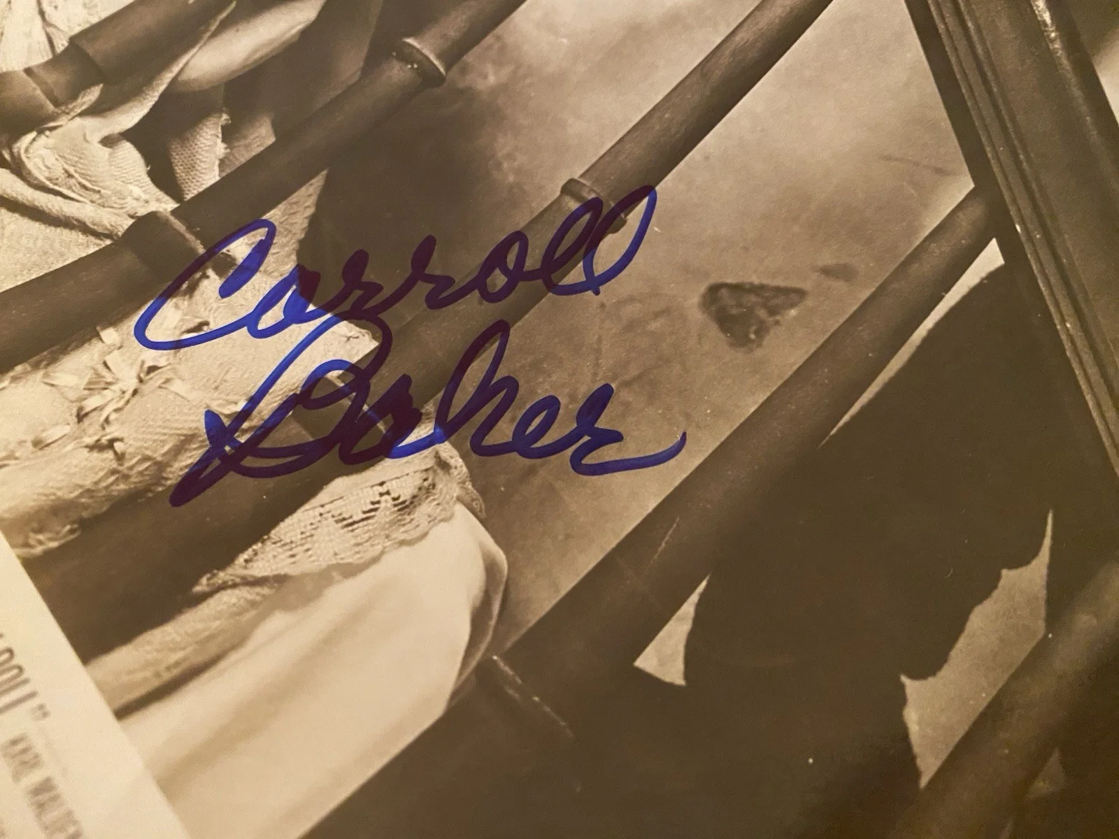 Carroll Baker — Carroll Baker Signed Autographed Vintage 10x8 Photo With COA Baby Doll, изображение 3