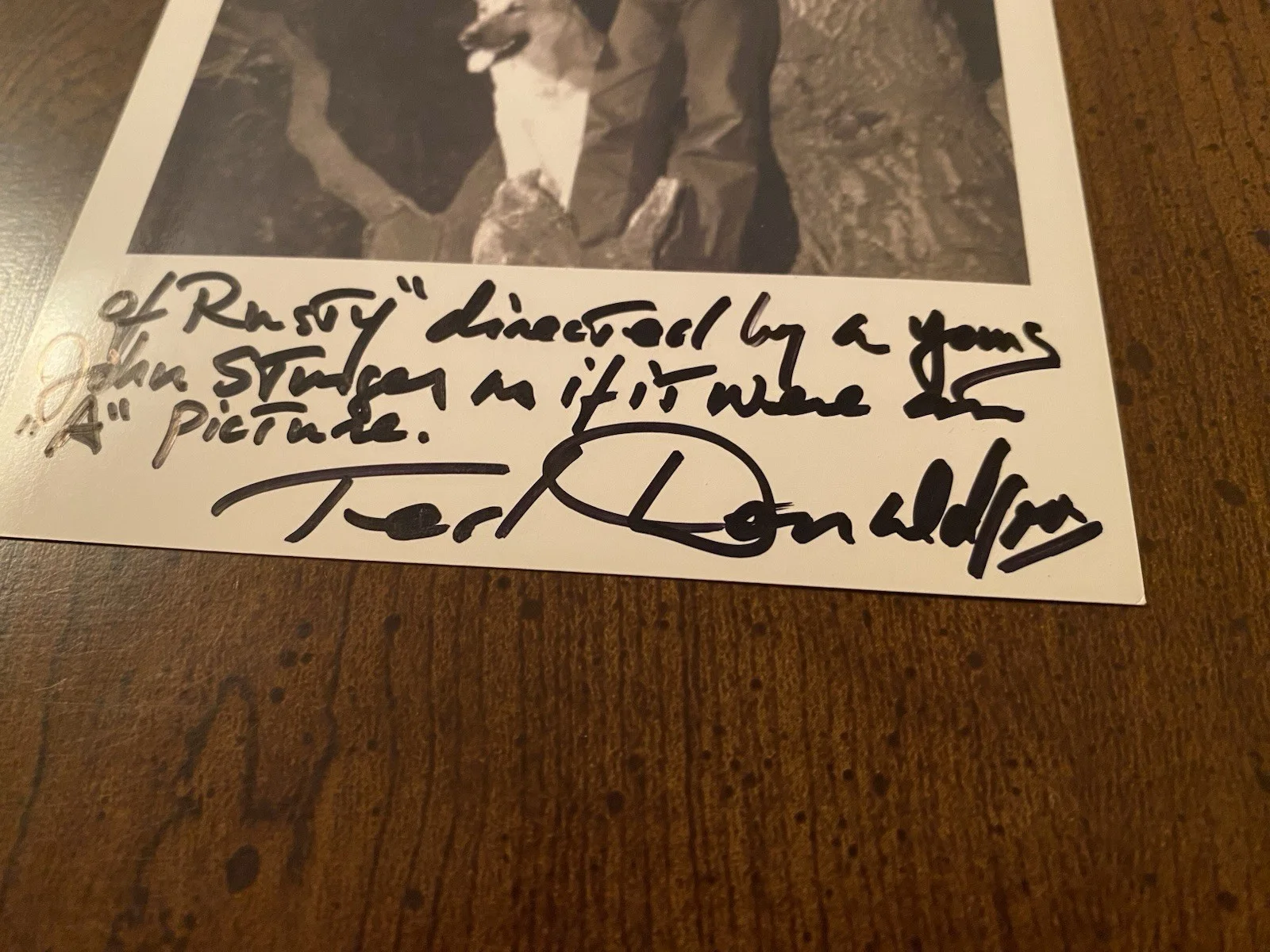 Ted Donaldson — Ted Donaldson Signed Autographed Photo w/ COA For The Love Of Rusty INSCRIPTION, изображение 4