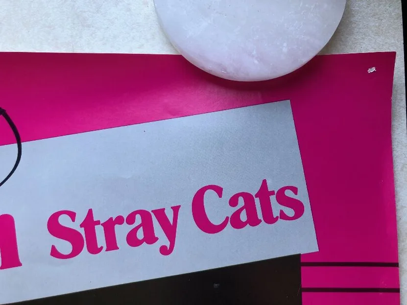 Stray Cats Slim Jim Phantom In Person Signed 24" x 36" Poster Gretsch Drums, image 5