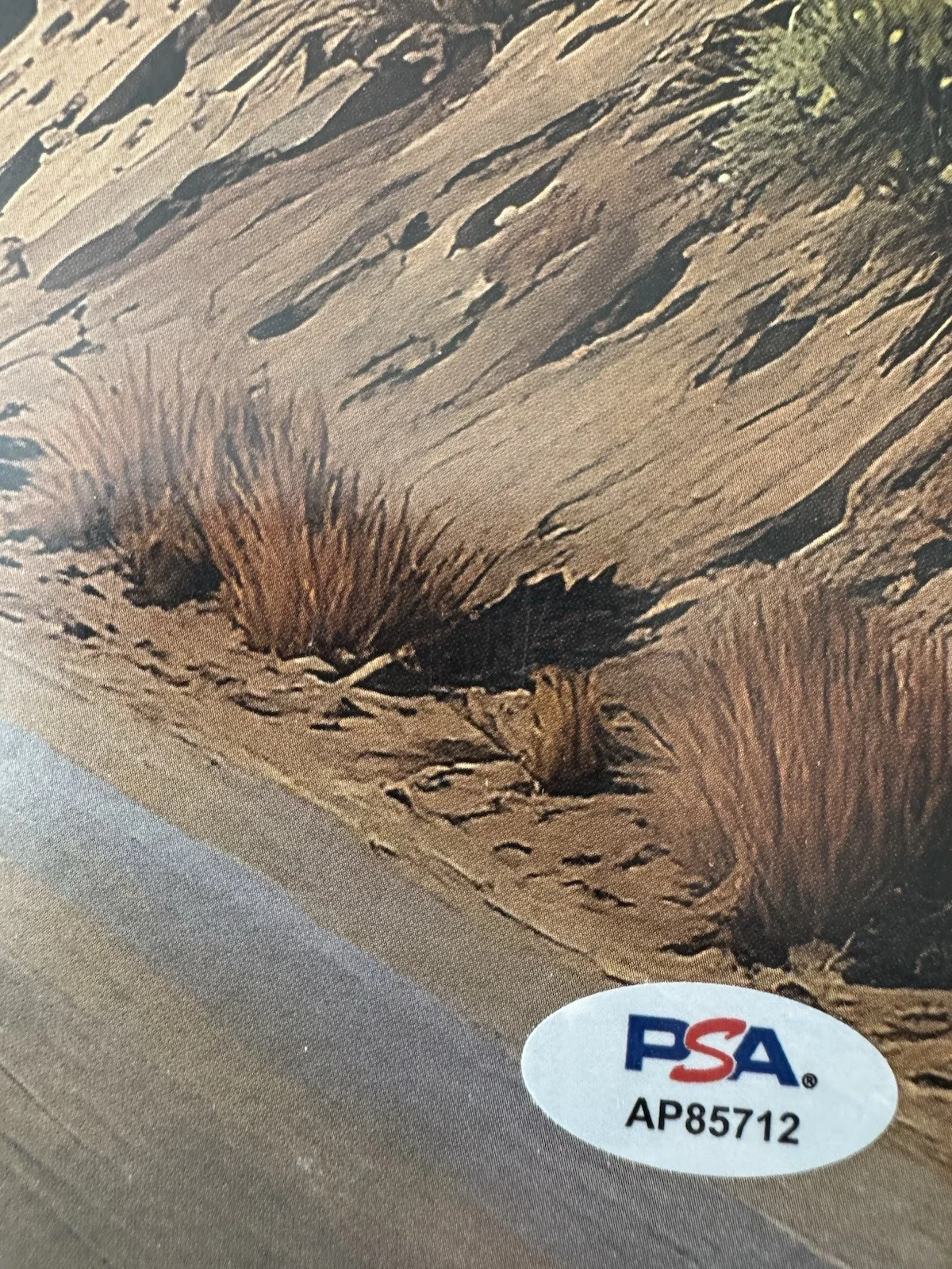 The Doobie Brothers Signed Walk The Road Vinyl PSA/DNA PATRICK MICHAEL JOHN TOM, изображение 3