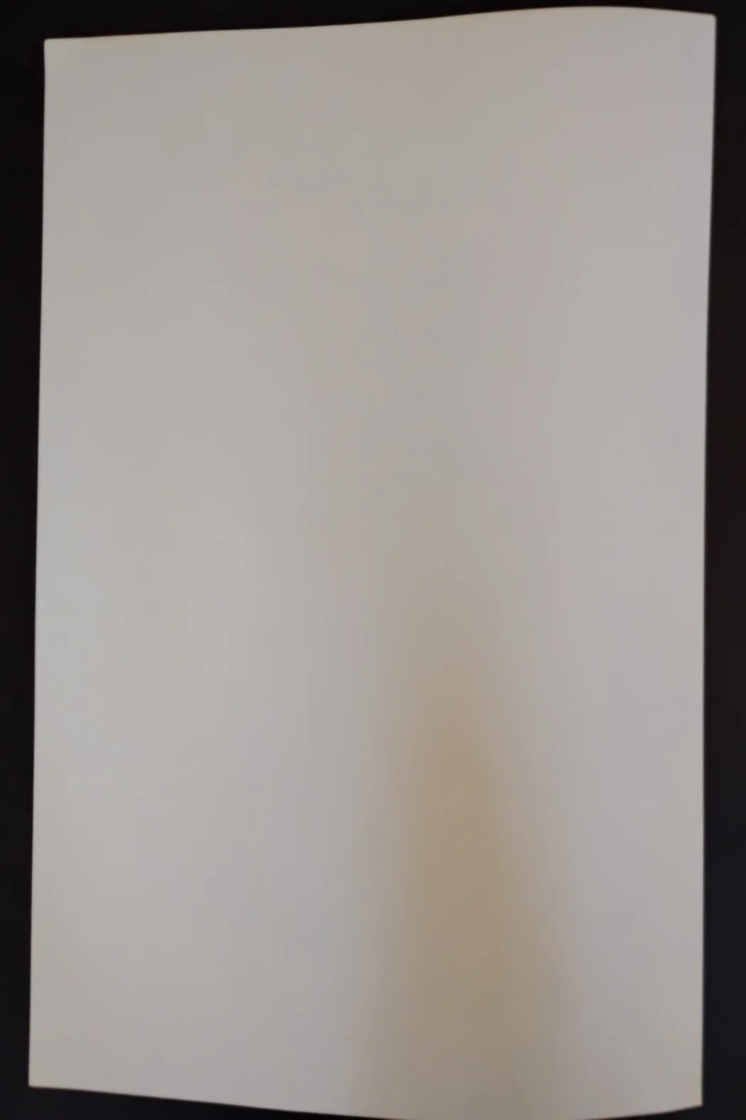 Dirty Dancing Musical Autographed Poster Original Touring Cast, image 4