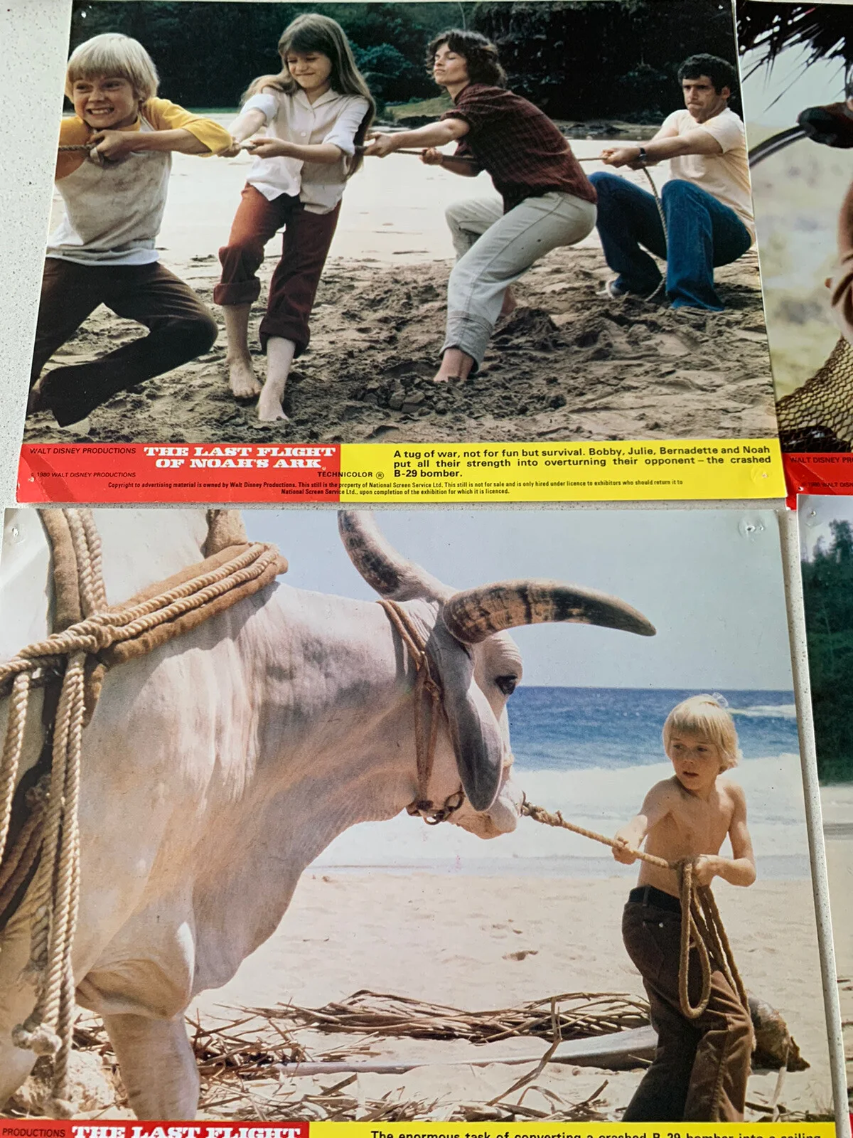 1980 Walt Disney THE LAST FLIGHT OF NOAH'S ARK Elliot Gould Bujold Lobby Cards, изображение 2