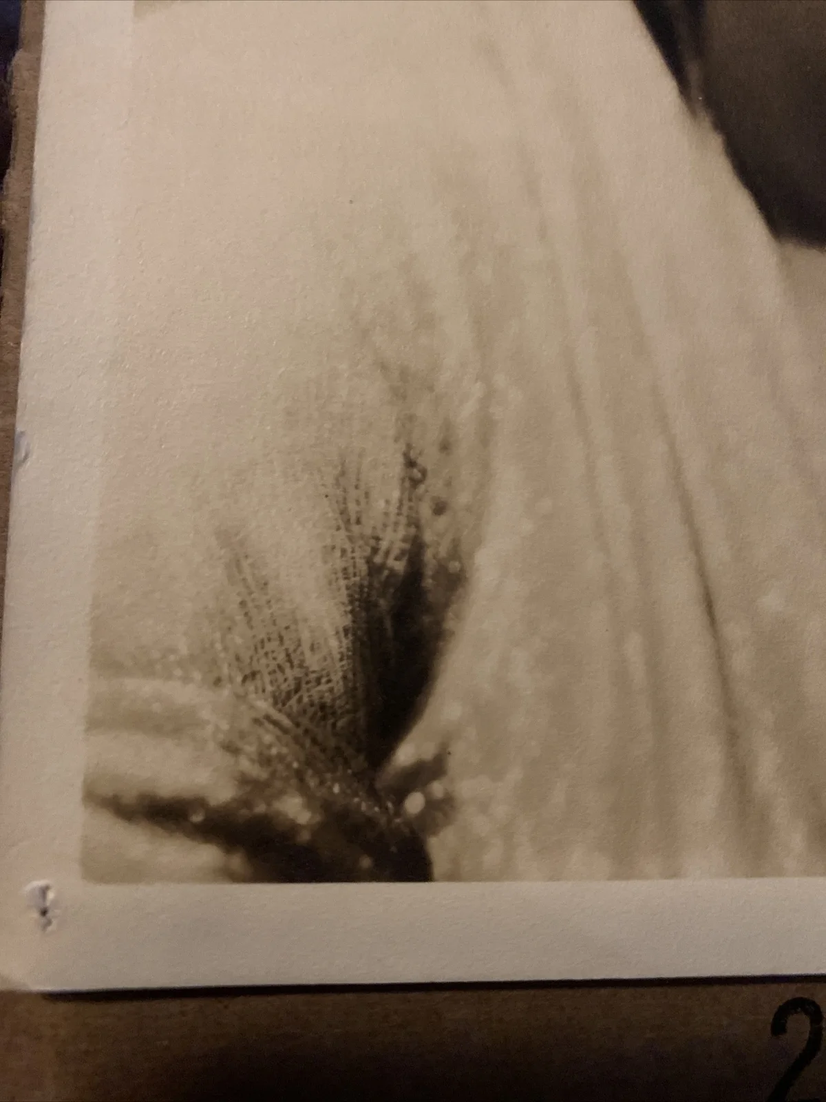 Lyda Roberti — Original Signed Autographed Lyda Roberti 8x10 Photo From 1935 Died 1938, изображение 5