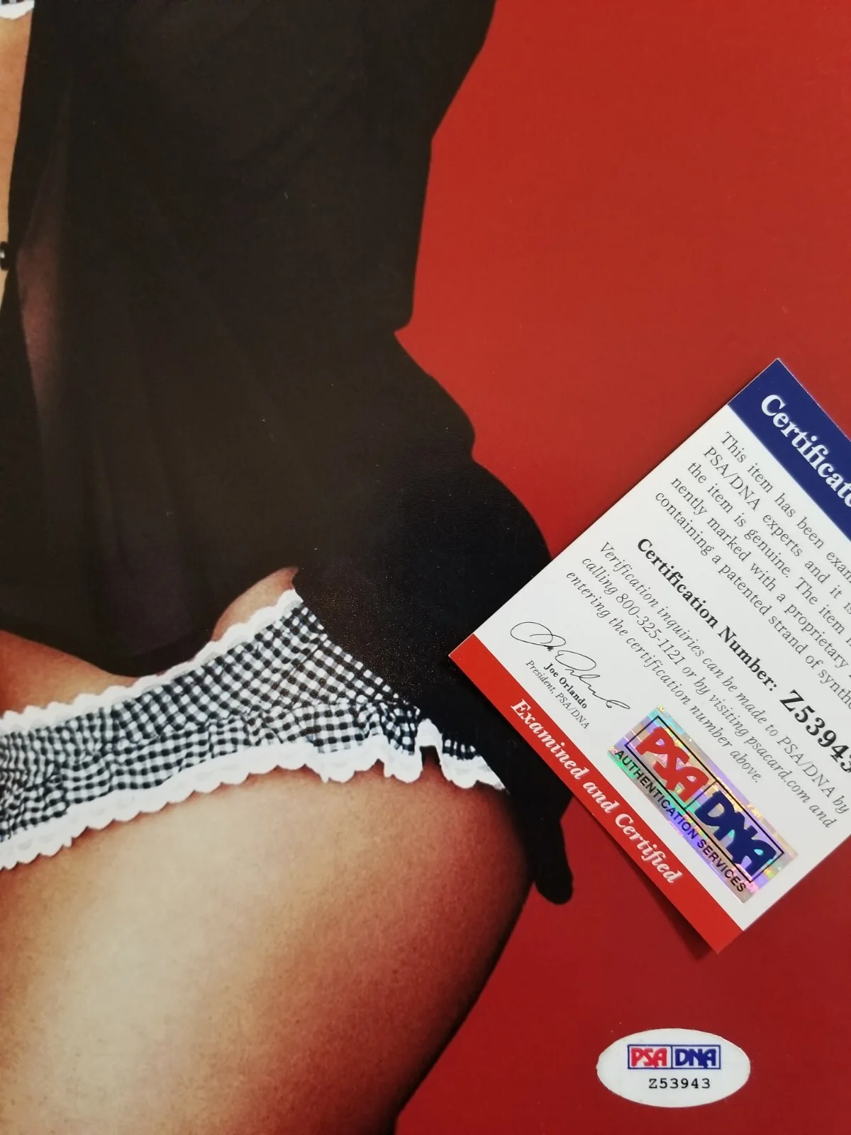 Olivia munn — Olivia Munn Autograped Signed Photo PSA Maxim Playboy Actress Celebrity 12x18, image 3