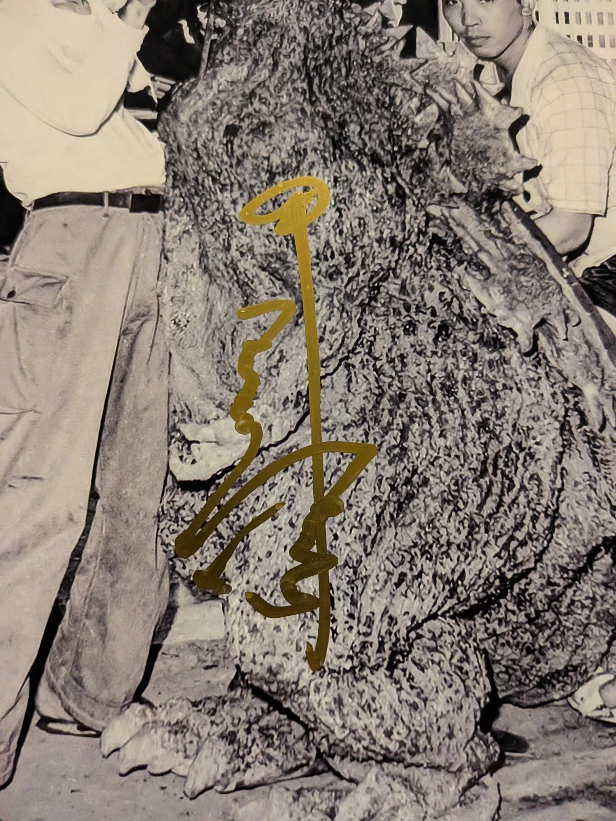 HARUO NAKAJIMA Signed 8x10 GODZILLA King of the Monsters Suit Actor BAS COA B, изображение 2