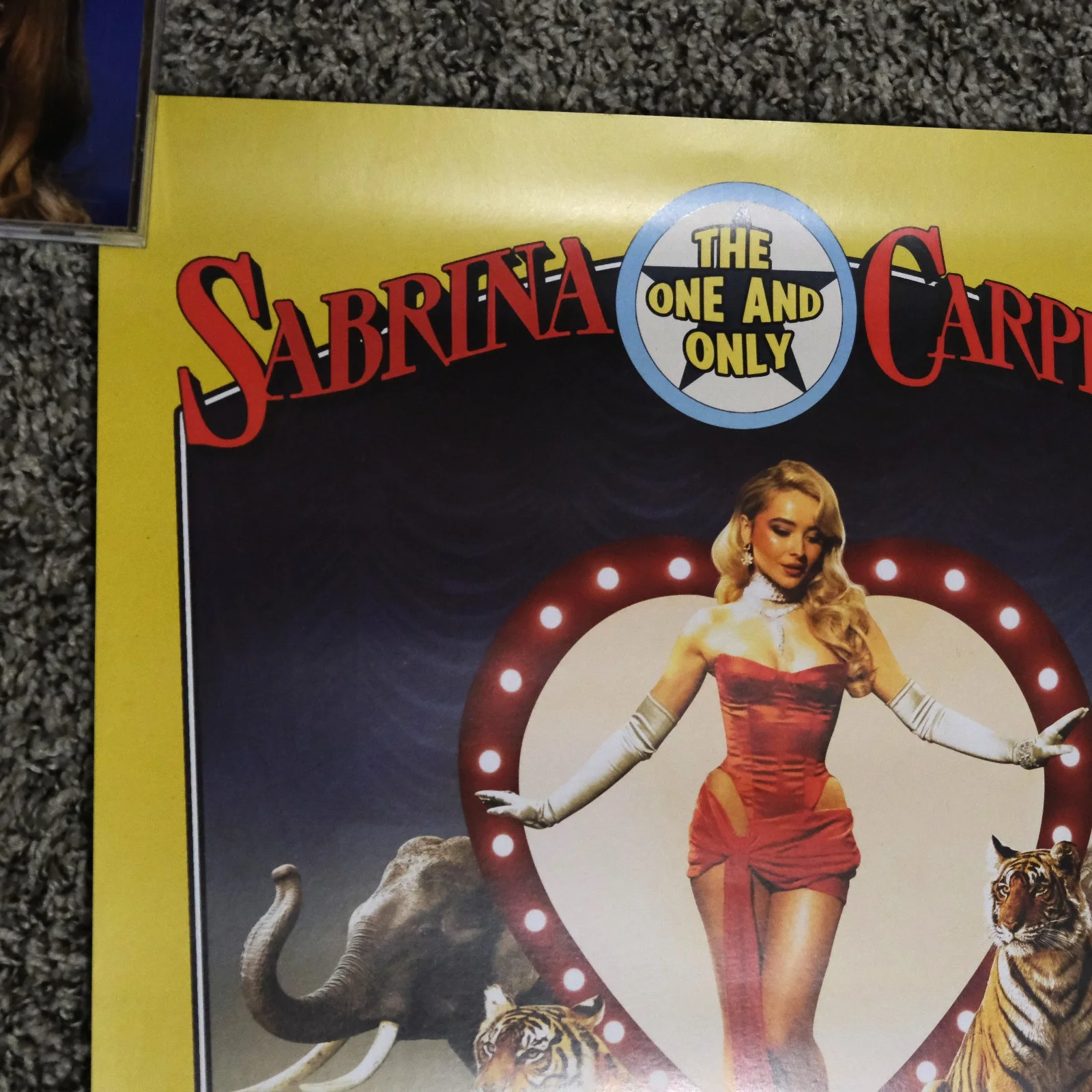 Sabrina Carpenter Signed Because Liked A Boy Tour Poster VIP Autograph Numbered, изображение 2