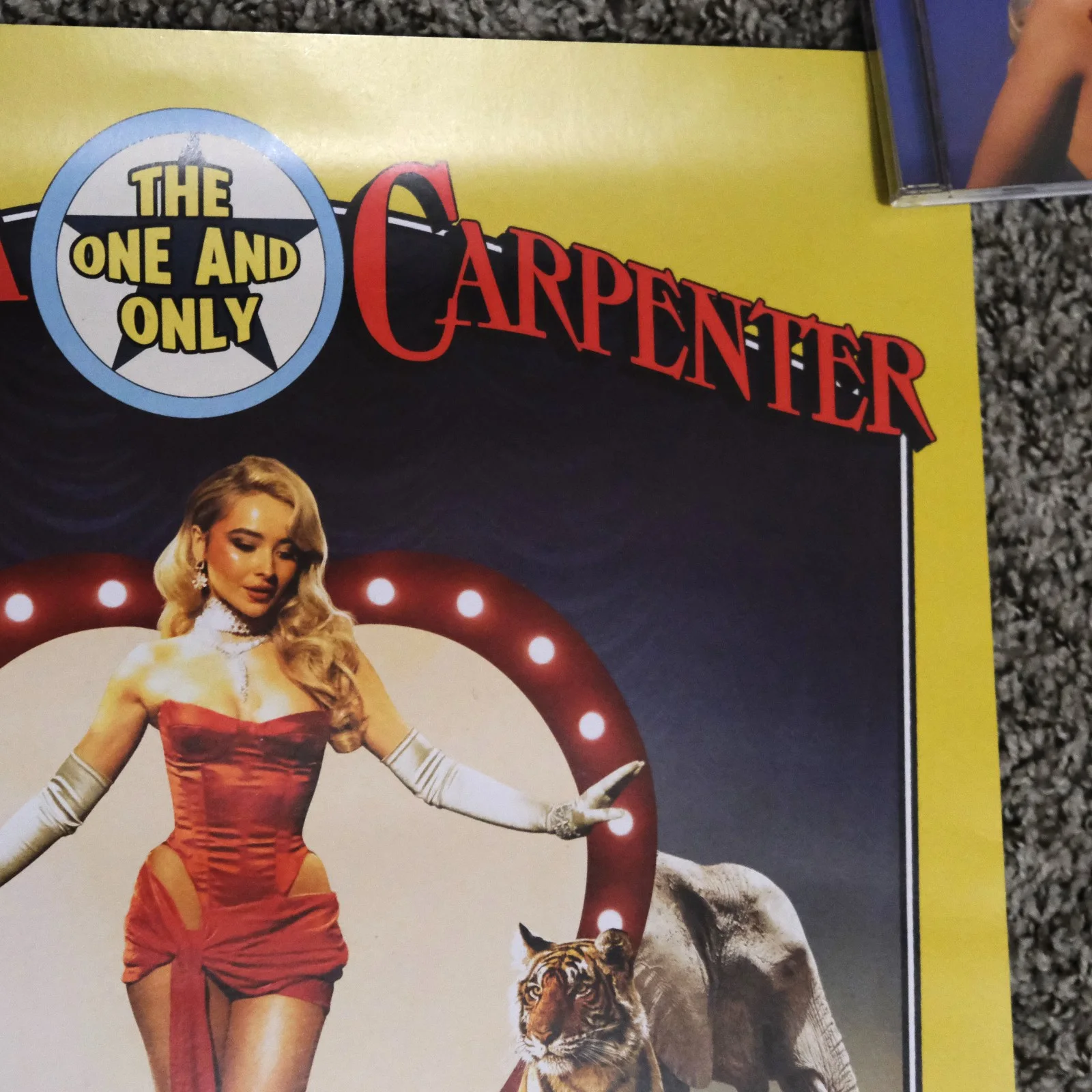 Sabrina Carpenter Signed Because Liked A Boy Tour Poster VIP Autograph Numbered, изображение 3